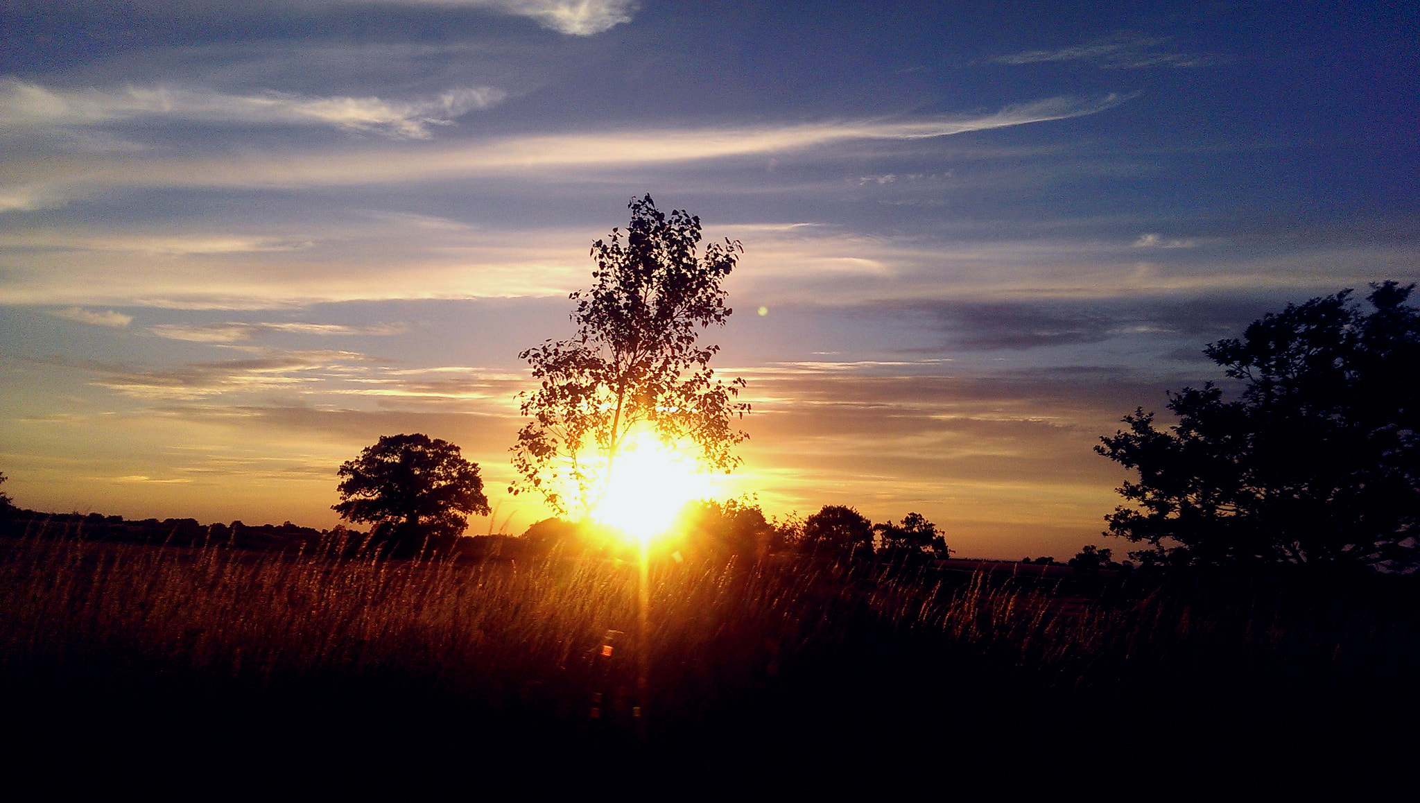 HTC ONE MINI sample photo. () photography