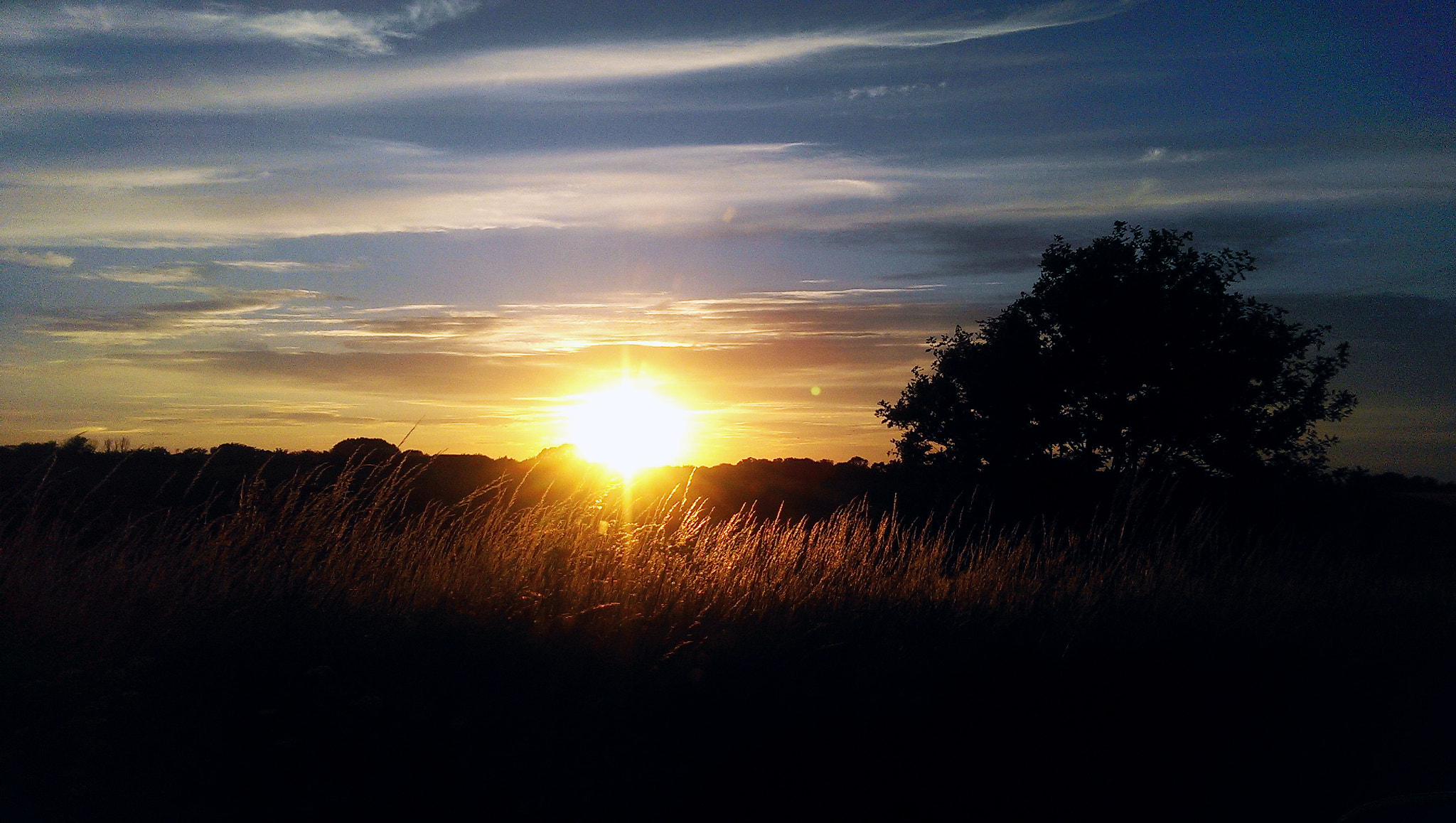HTC ONE MINI sample photo. () photography