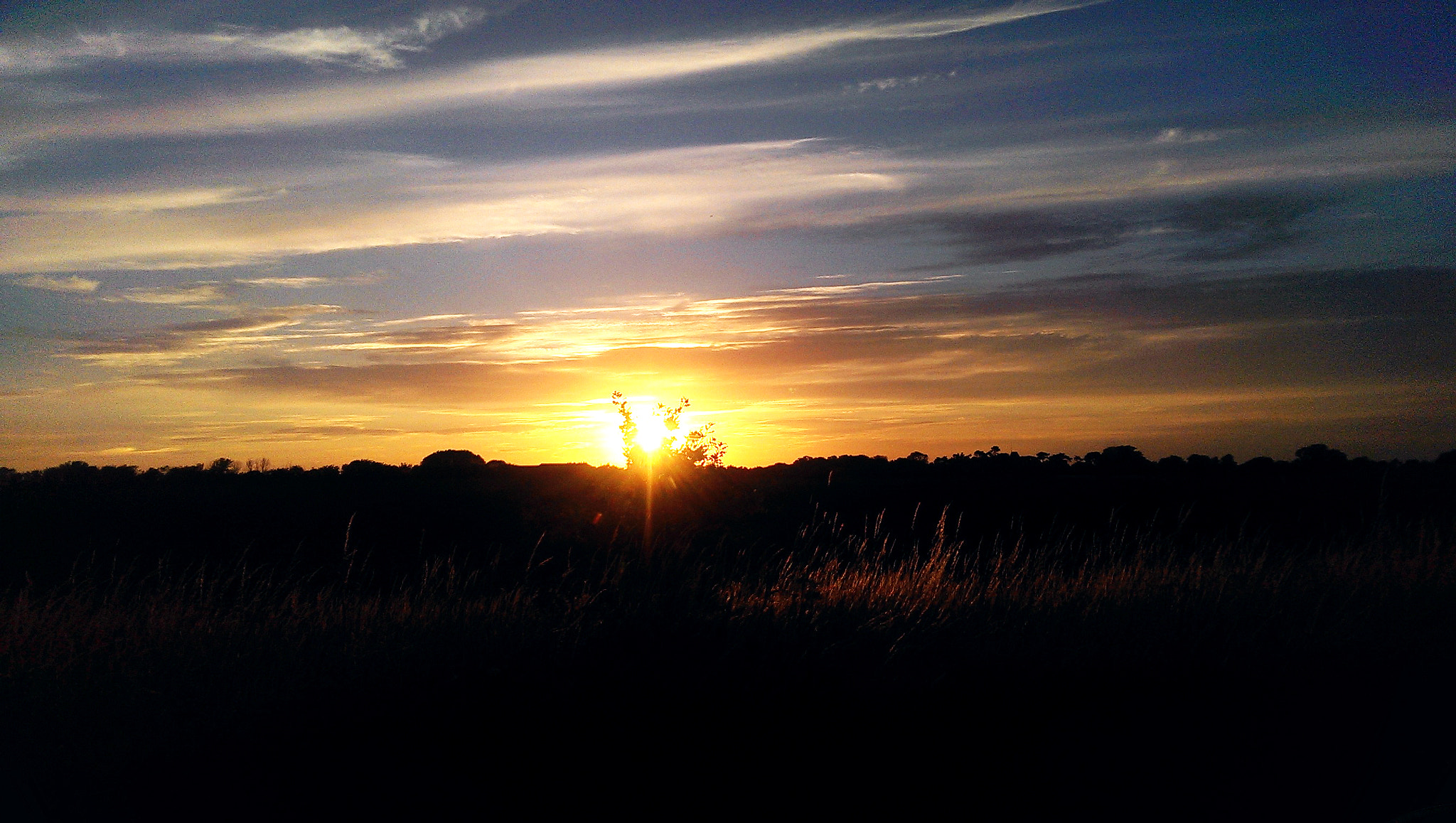 HTC ONE MINI sample photo. () photography