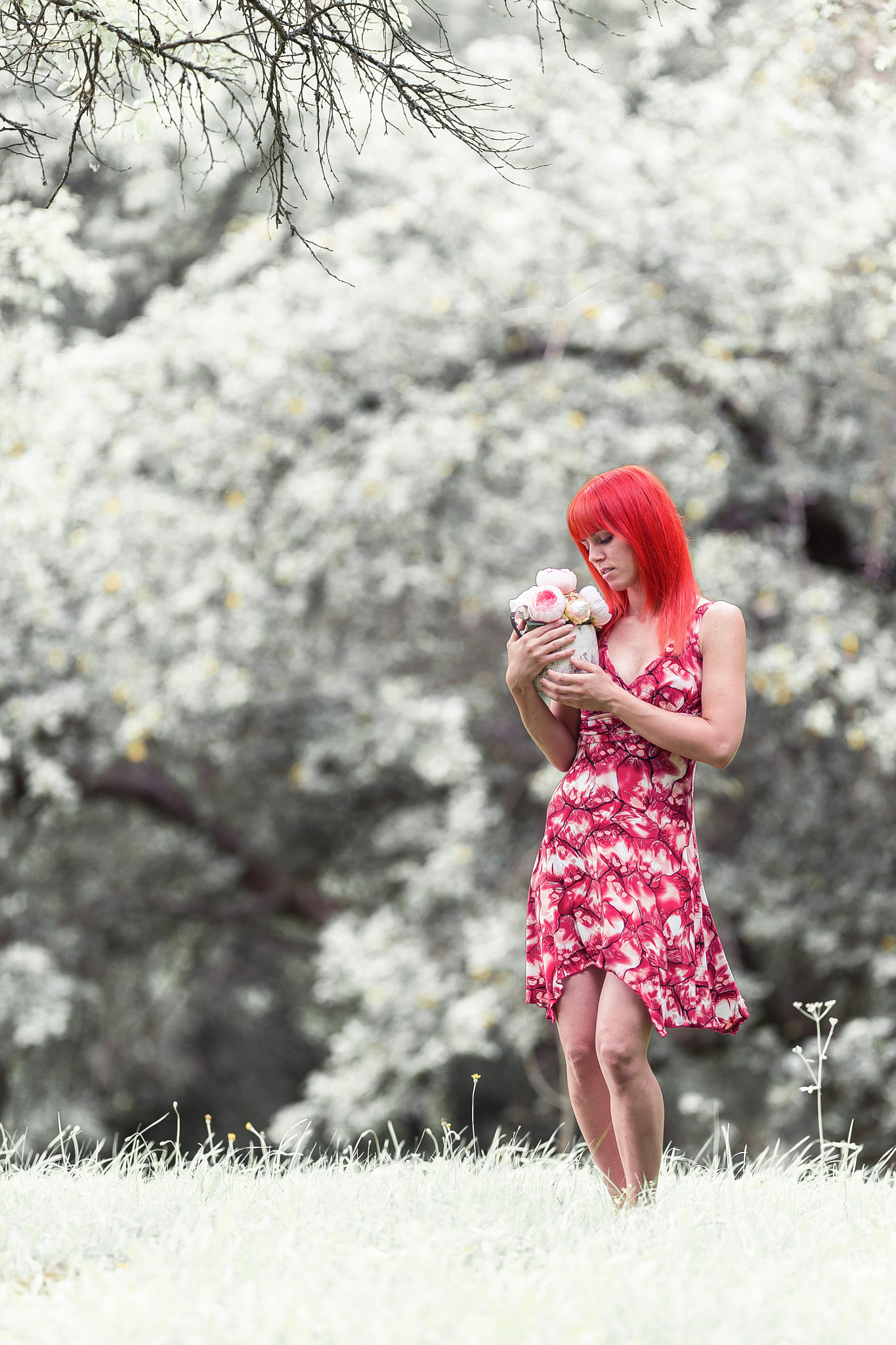 Nikon AF-S Nikkor 200mm F2G ED-IF VR sample photo. Rose and white photography