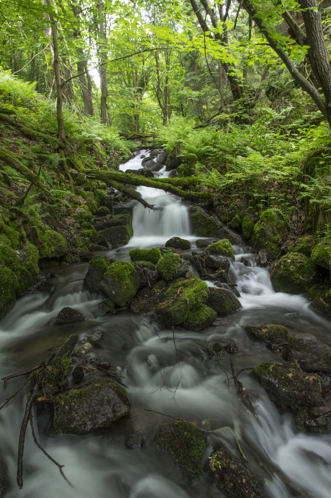 Pentax smc DA 15mm F4 ED AL Limited sample photo. Brook photography