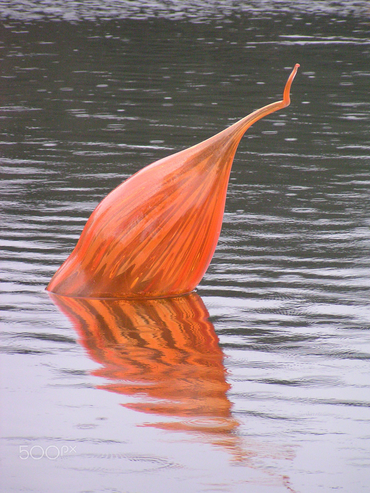 KONICA MINOLTA DiMAGE Z1 sample photo. Gardens of glass photography