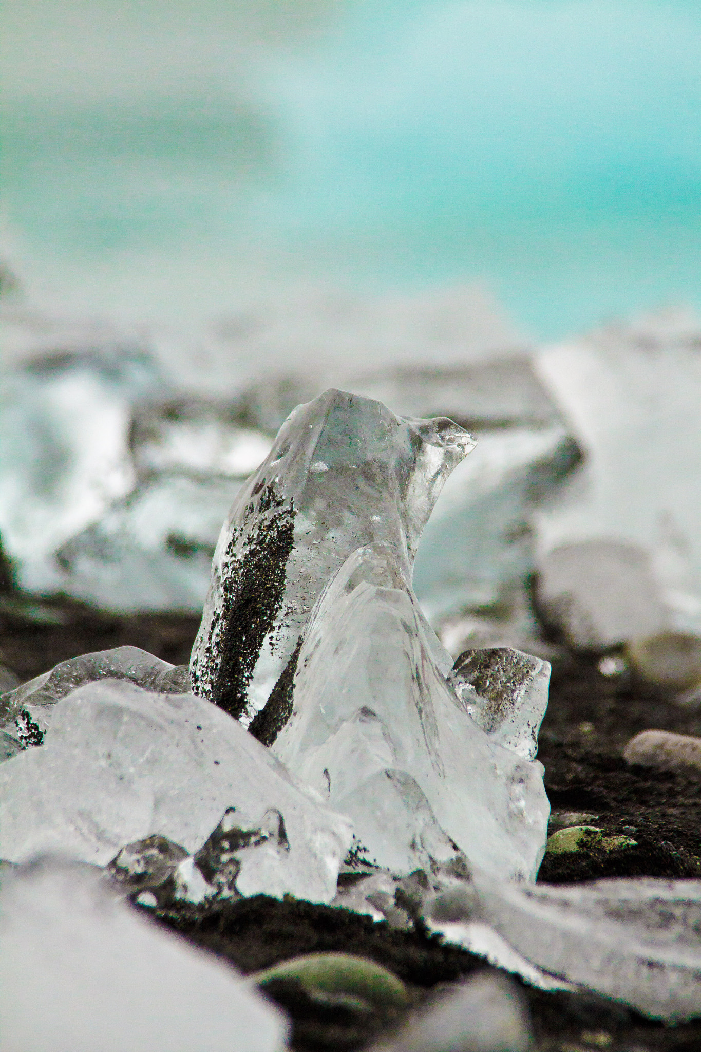 Sigma 150-500mm F5-6.3 DG OS HSM sample photo. Diamond photography