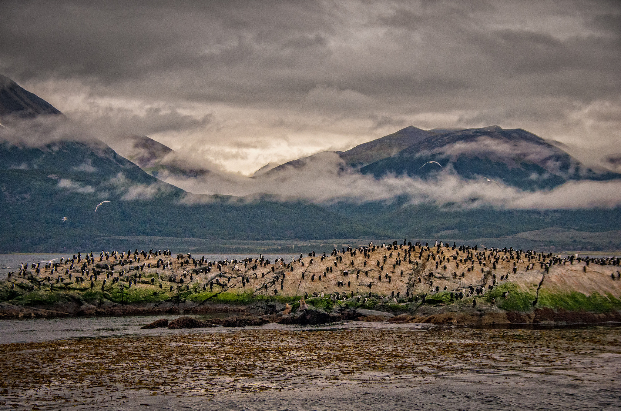 Pentax K-5 II sample photo. Misty mountains photography