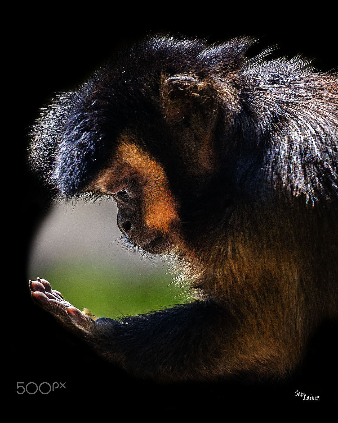 Nikon AF-S Nikkor 70-200mm F2.8G ED VR II sample photo. Discovery photography