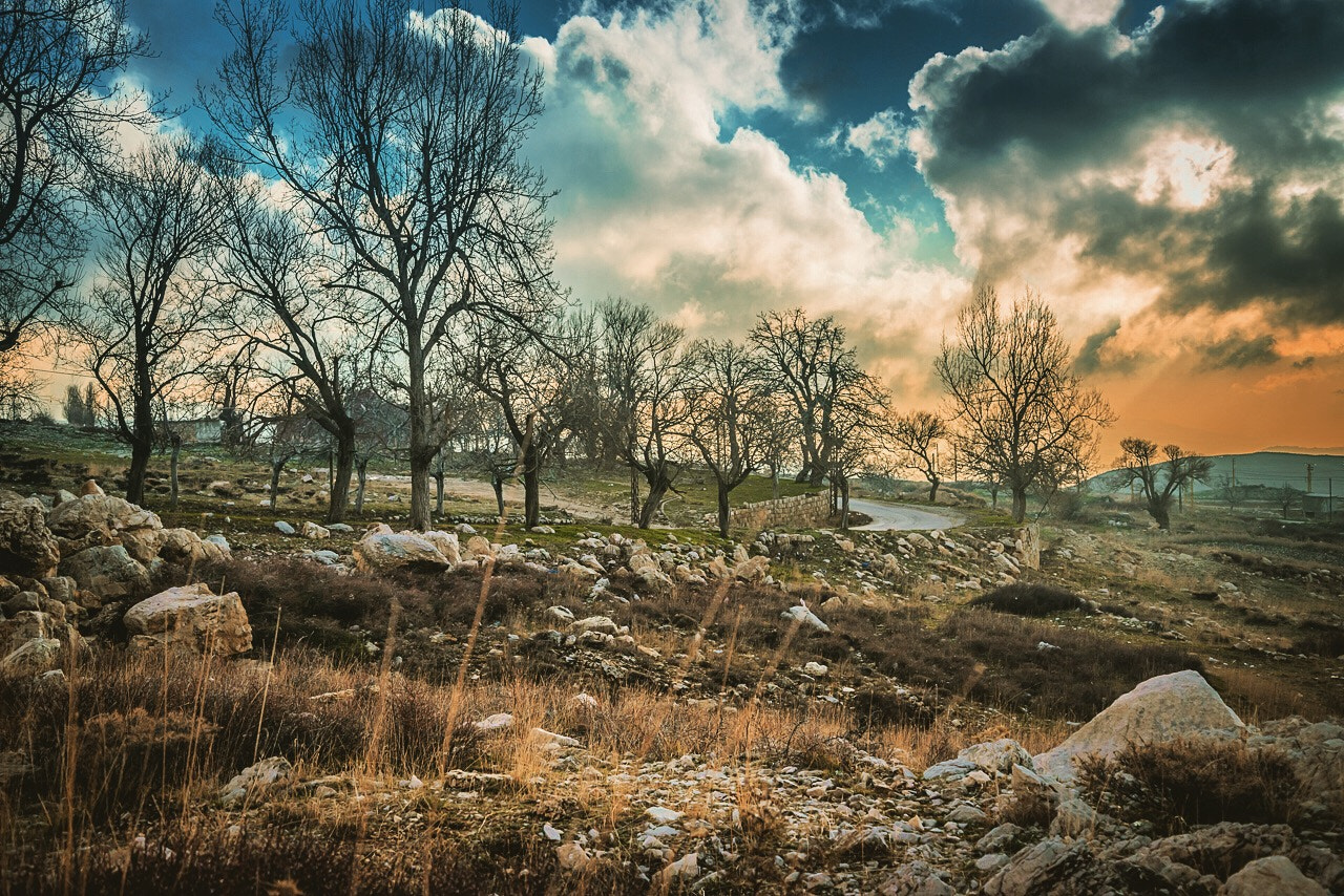 Nikon D800E sample photo. Country road photography