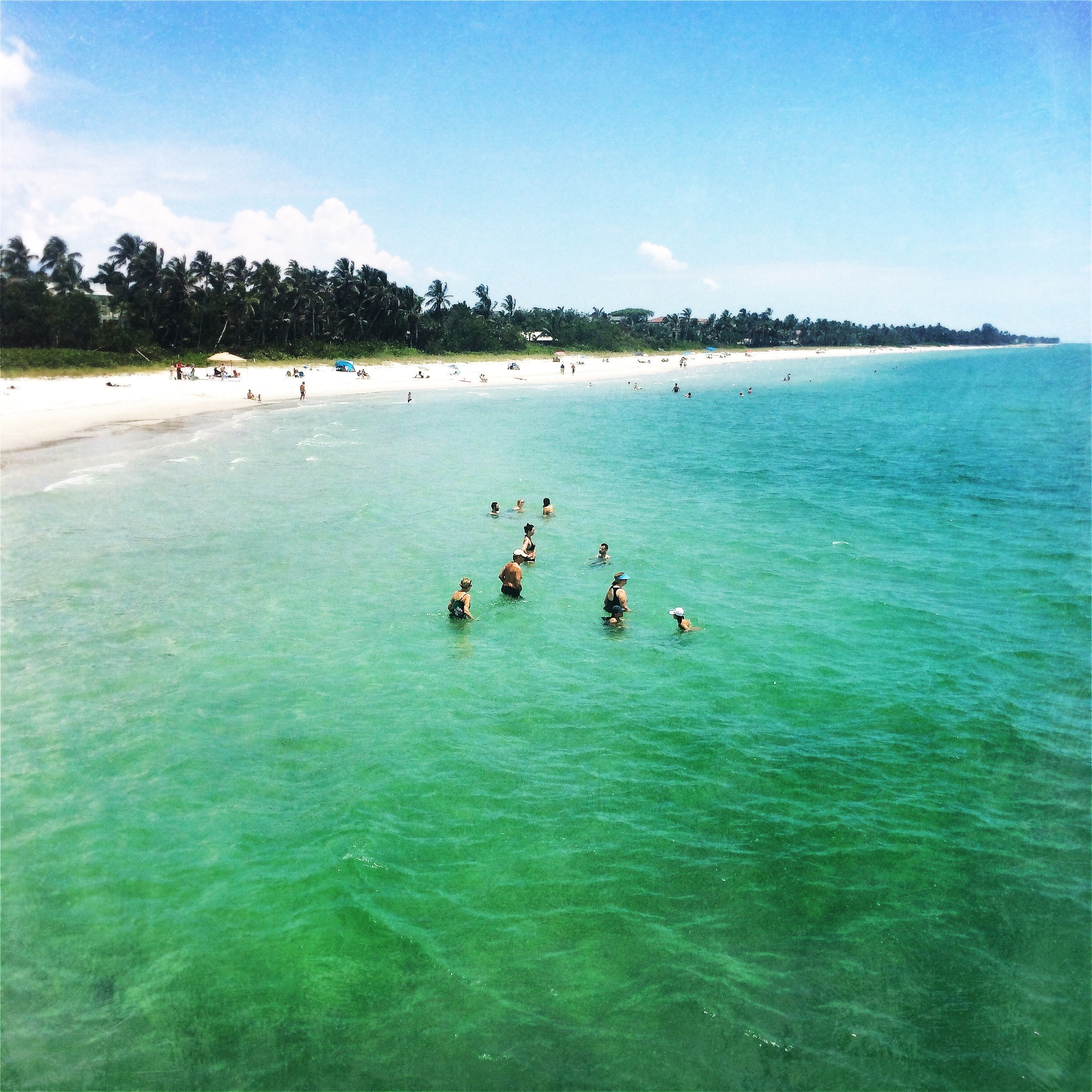 Hipstamatic 313 sample photo. Swimming fun in the tropics photography