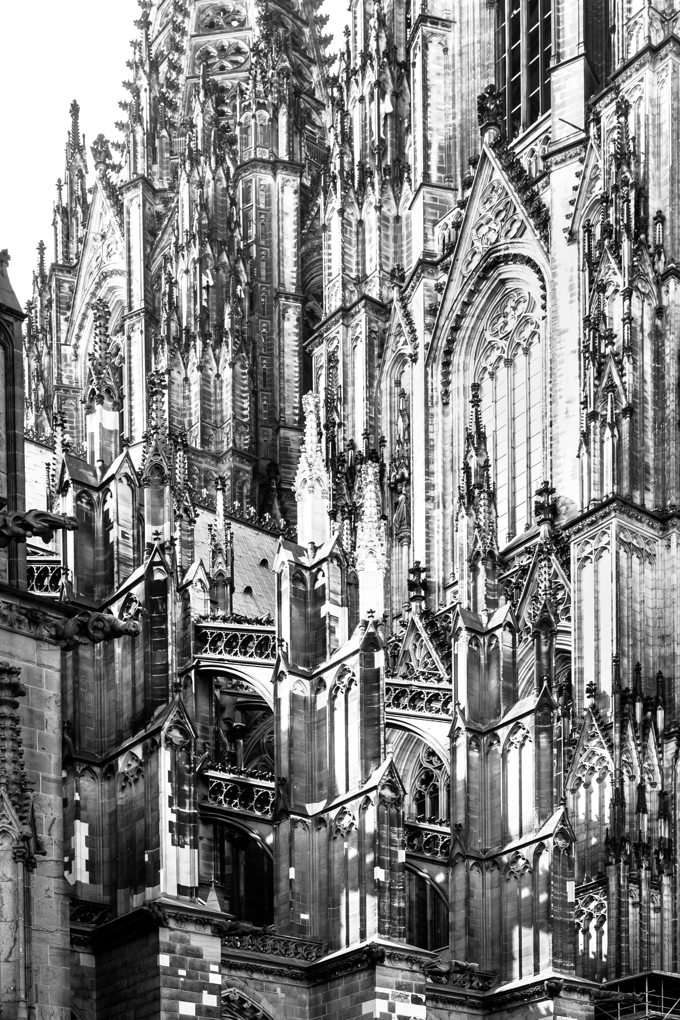 Canon EF 16-35mm F4L IS USM sample photo. Cologne cathedral photography