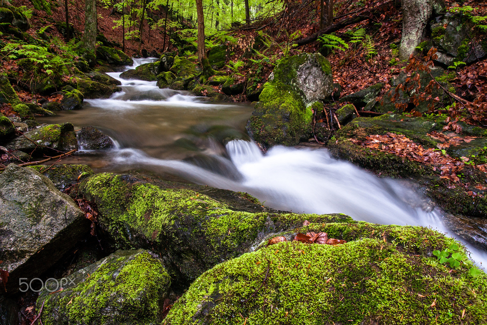 Sony Alpha DSLR-A700 sample photo. Mossy rocks in the bucinsky stream photography