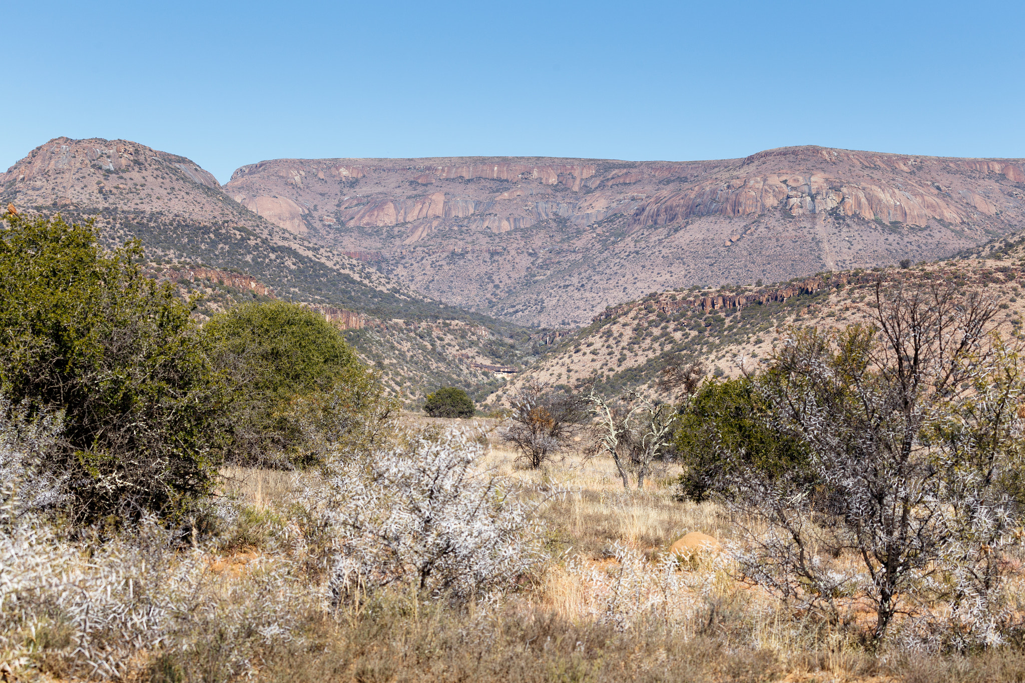 Canon EF 100-400mm F4.5-5.6L IS USM sample photo. The thorny mountain view - cradock landscape photography