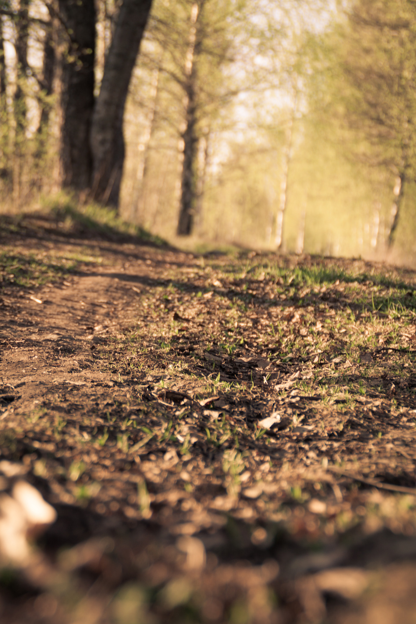 Canon EOS 50D sample photo. Summer way photography