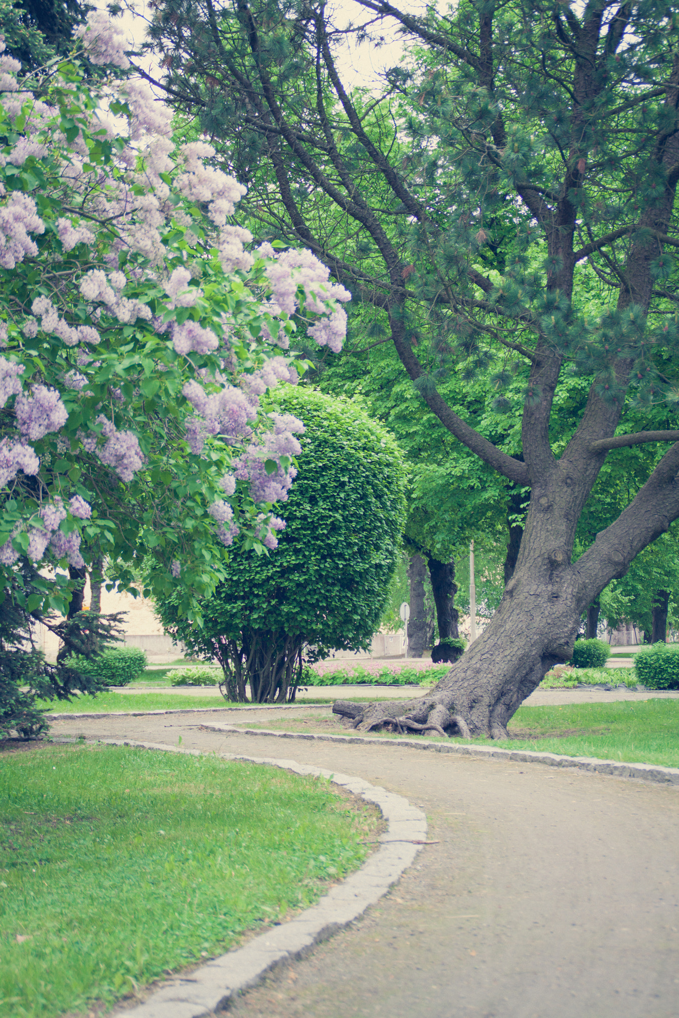 Canon EOS 50D sample photo. The park photography