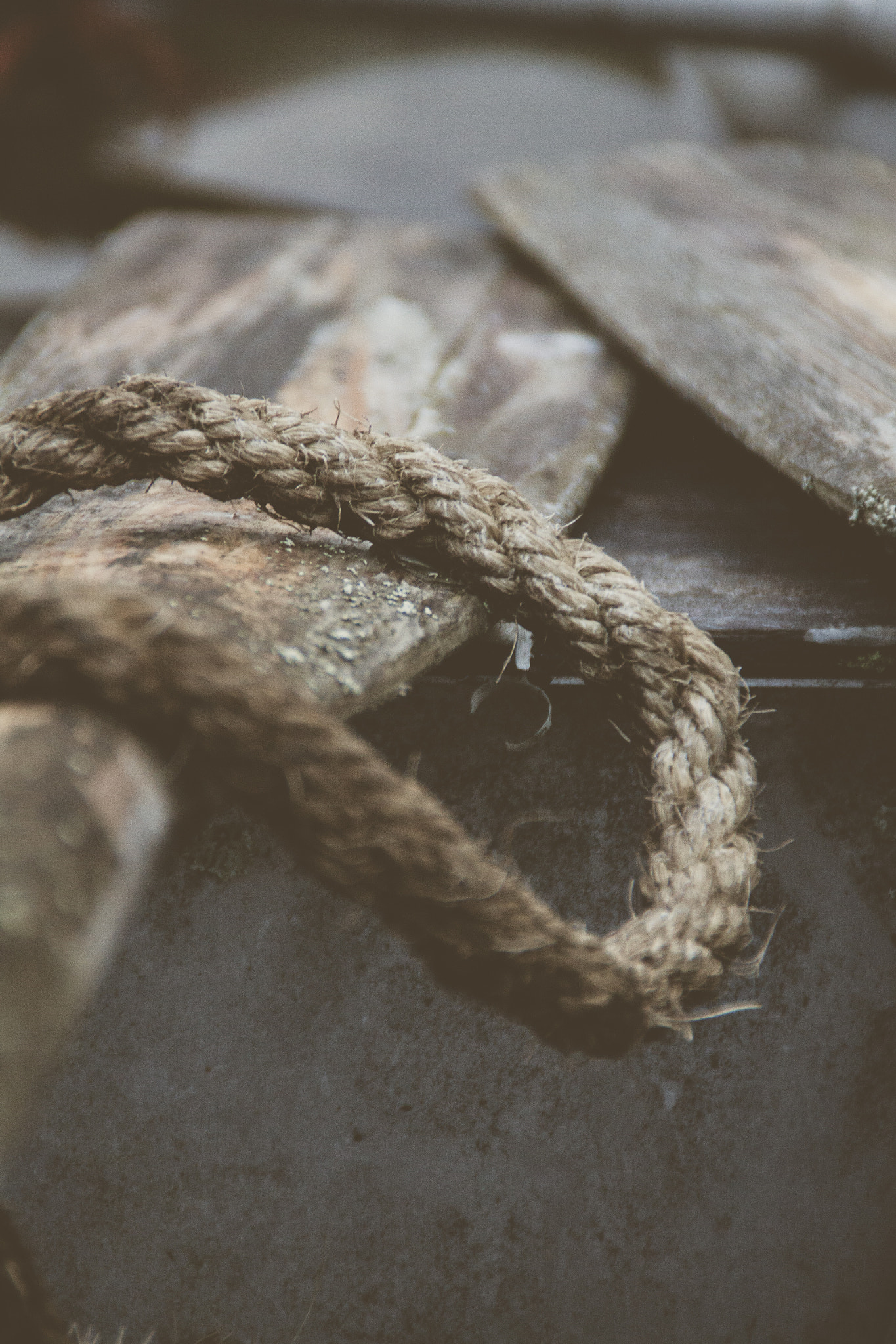 Canon EOS 50D + Tamron AF 18-200mm F3.5-6.3 XR Di II LD Aspherical (IF) Macro sample photo. Rope and oars photography