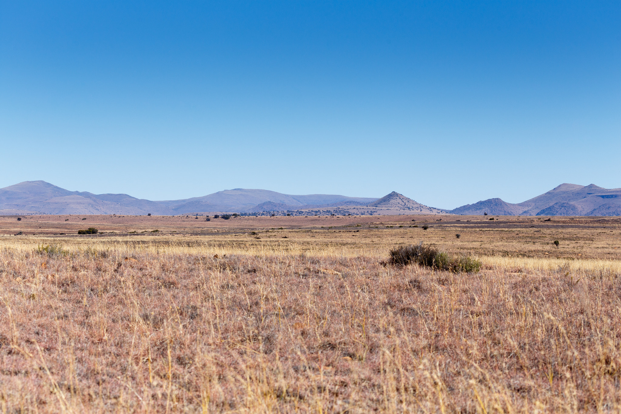 Canon EF 100-400mm F4.5-5.6L IS USM sample photo. Mountain landscape in cradock photography