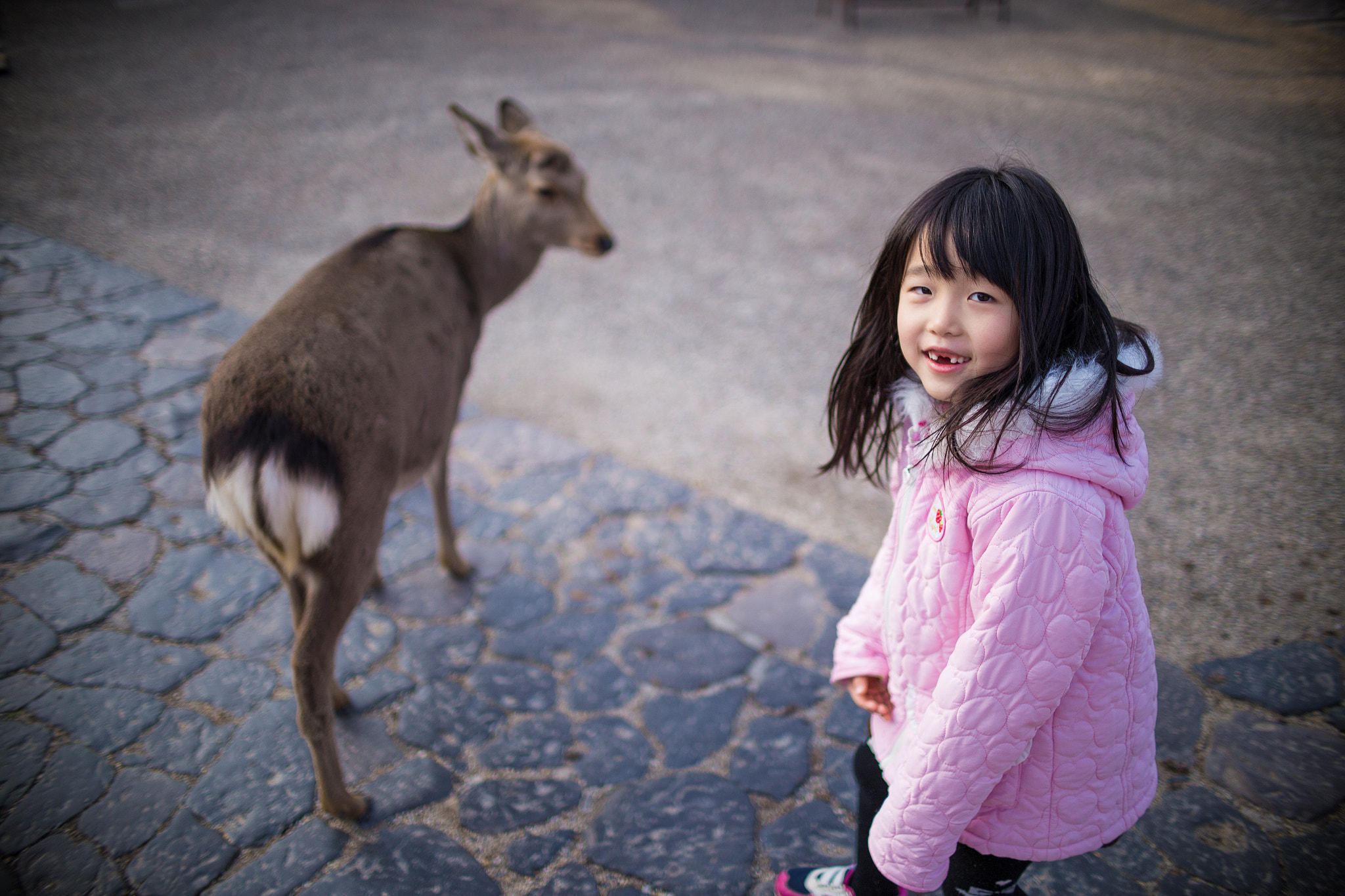 Sigma 30mm F1.4 EX DC HSM sample photo. Girl and deer in nara photography