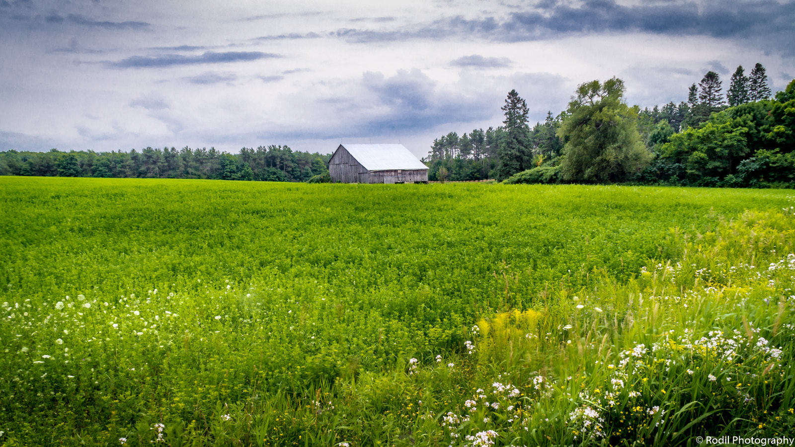 Sony SLT-A37 sample photo. The small barn photography