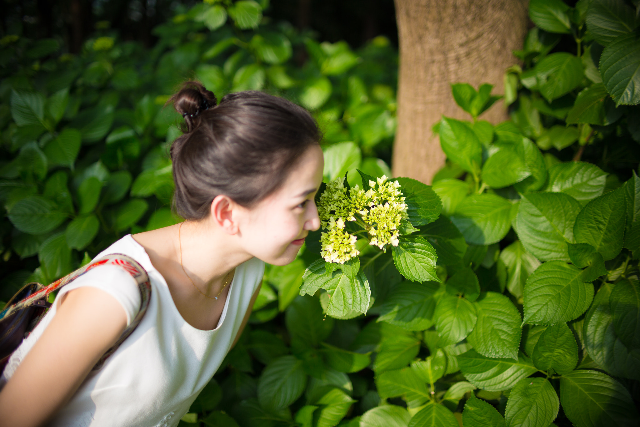 Sigma 30mm F1.4 EX DC HSM sample photo
