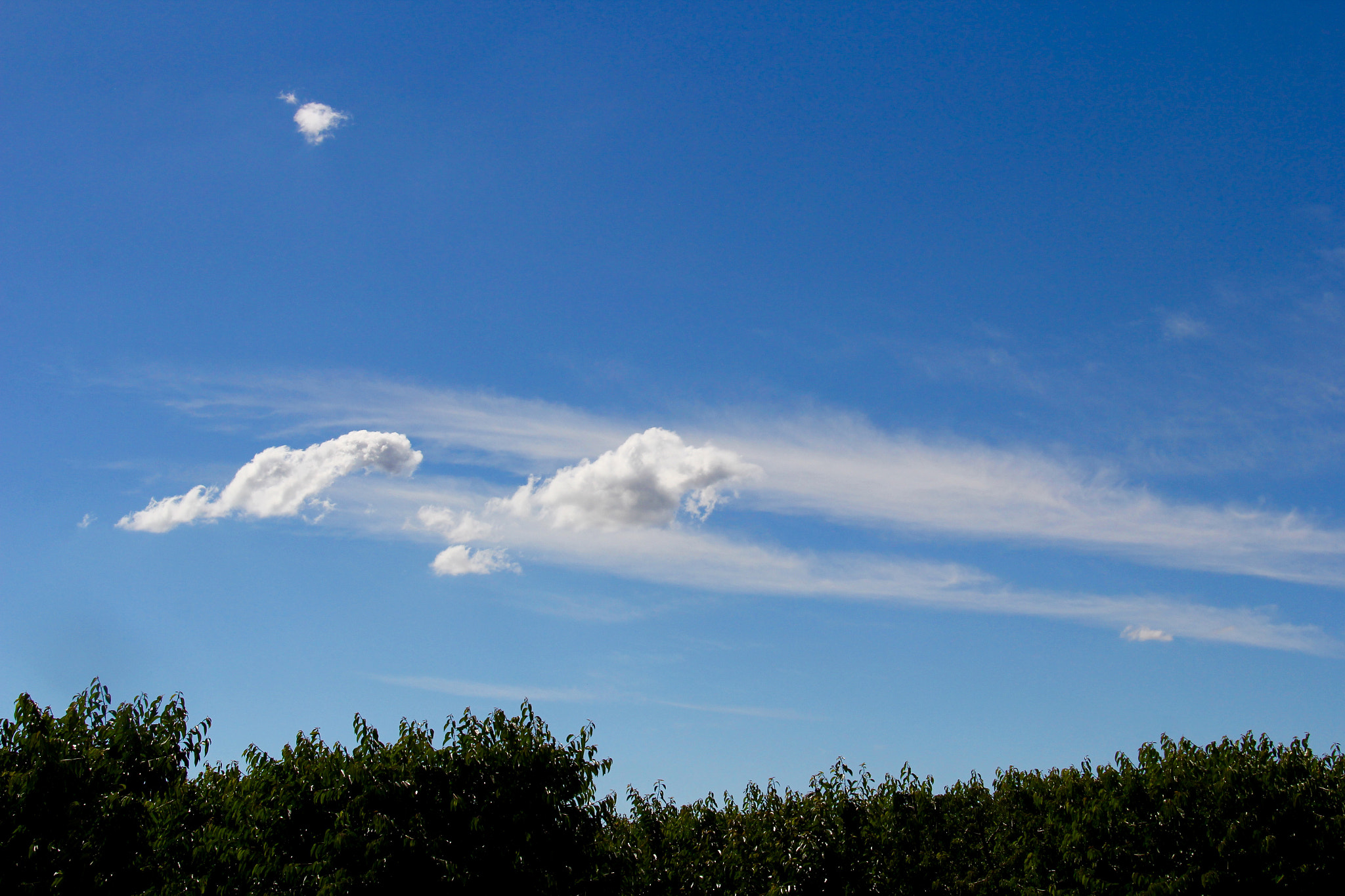 Canon EF-S 18-200mm F3.5-5.6 IS sample photo