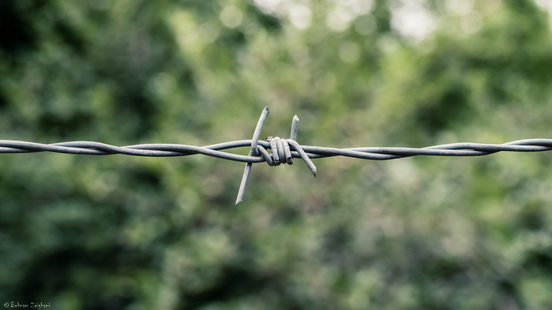 Nikon D5500 + Tamron SP 35mm F1.8 Di VC USD sample photo. Barbed wire photography