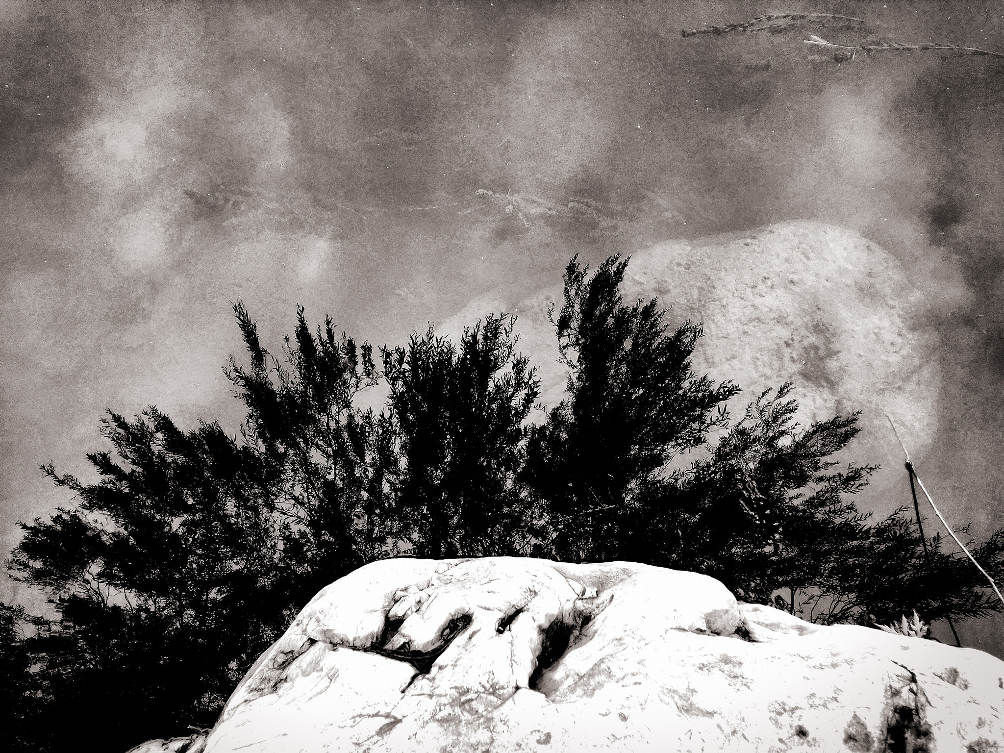 Blackie Camera sample photo. Mountain high photography