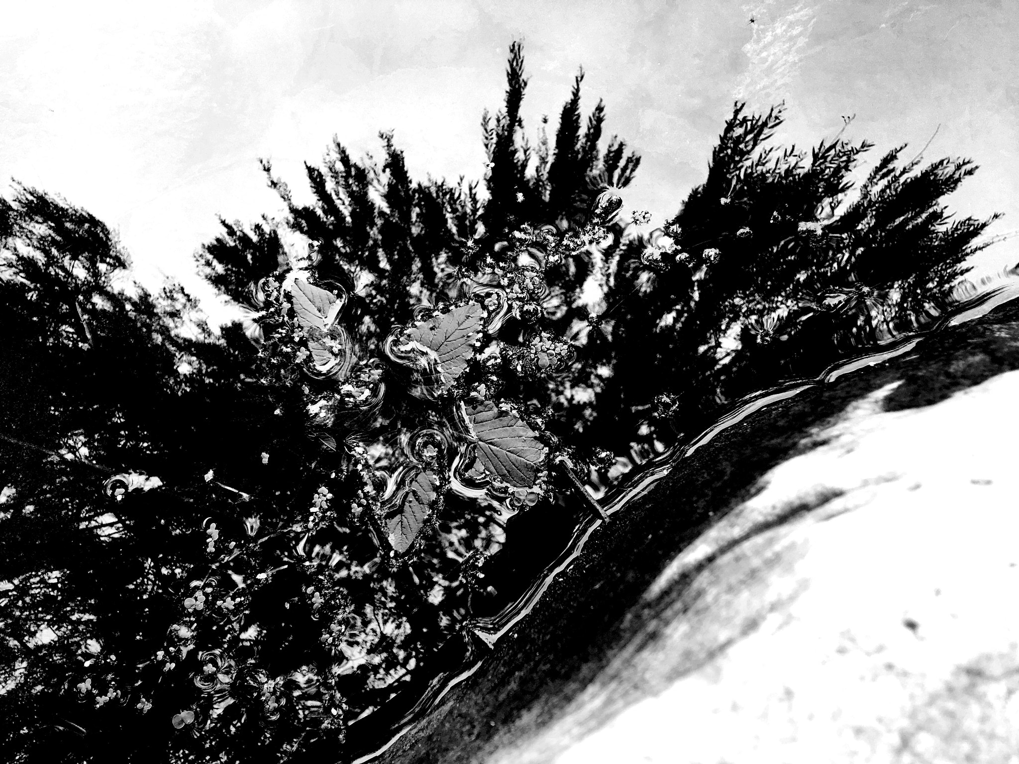 Blackie Camera sample photo. The curve photography