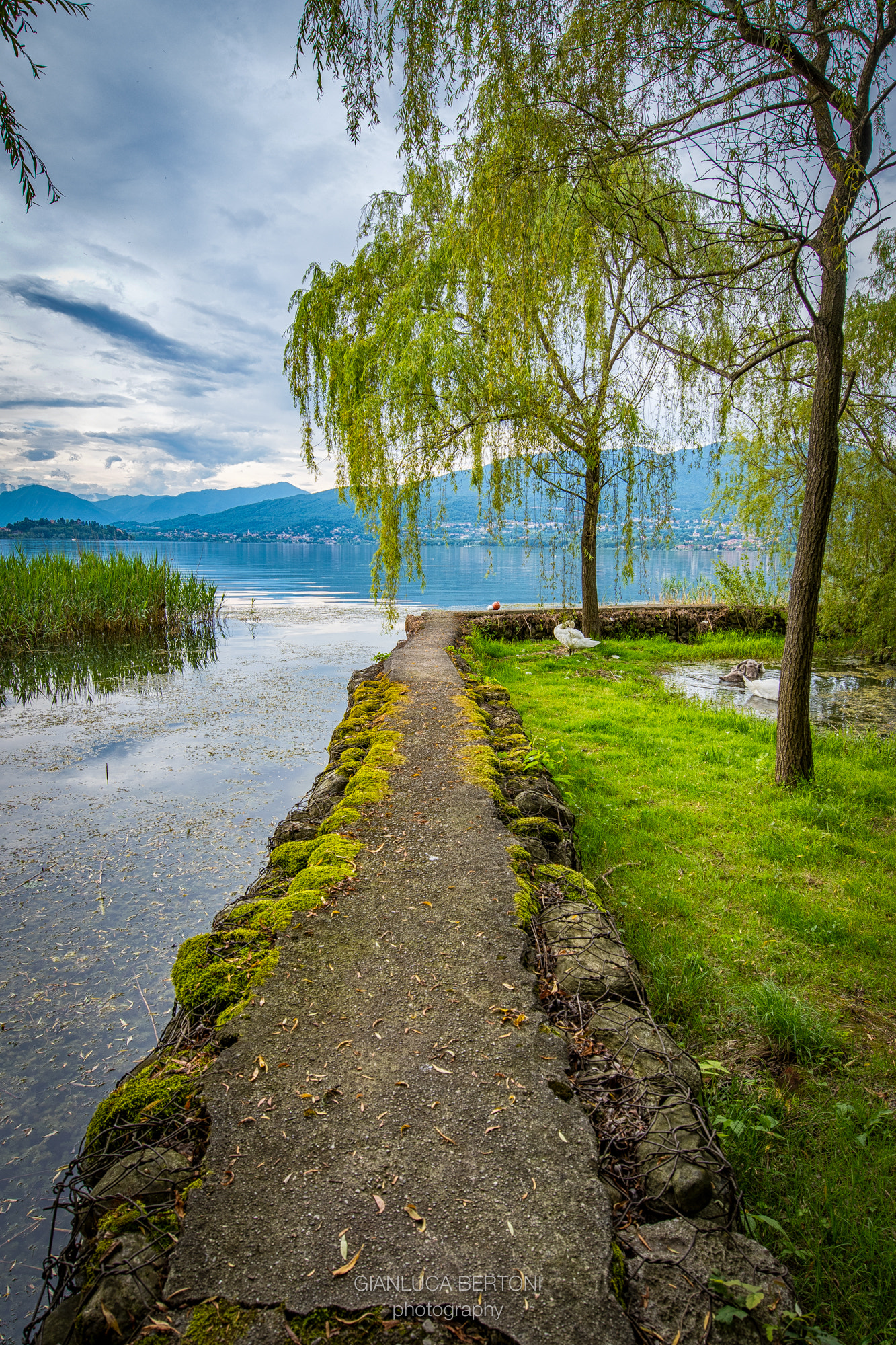 Nikon AF-S Nikkor 14-24mm F2.8G ED sample photo. Varese lake photography