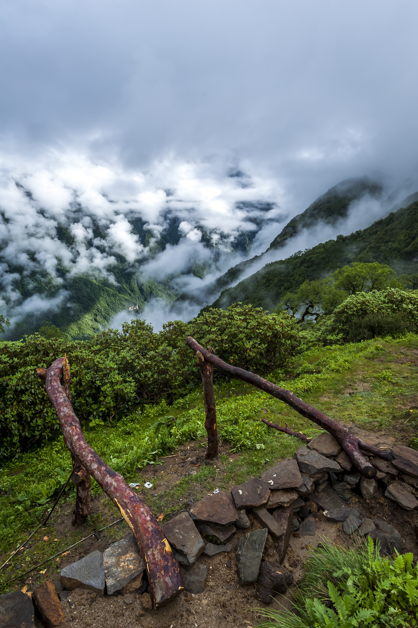 Nikon D700 + Nikon AF-S Nikkor 20mm F1.8G ED sample photo. In the highlands photography