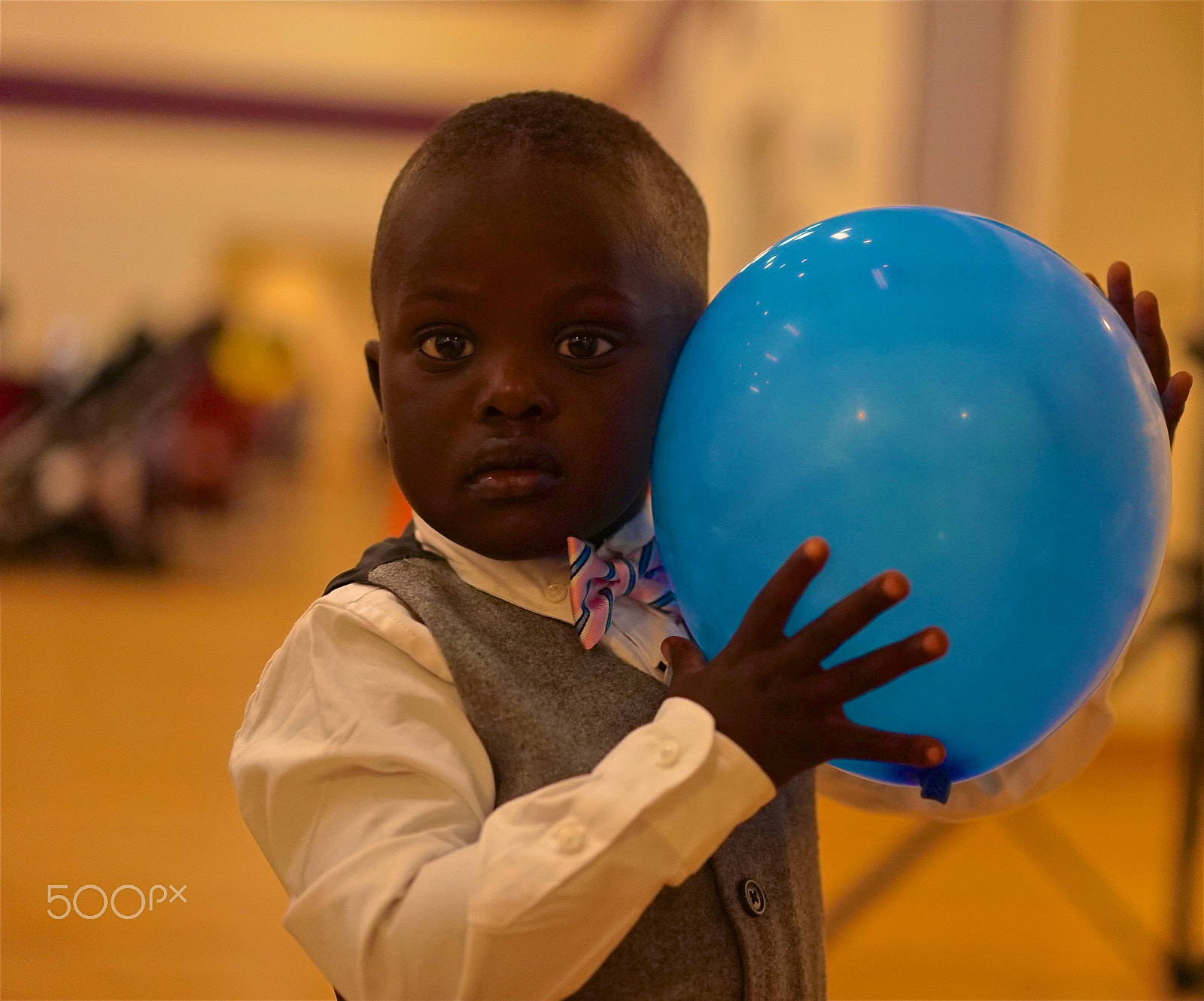 Sony a7S II + Sony Sonnar T* FE 55mm F1.8 ZA sample photo. Marley () photography