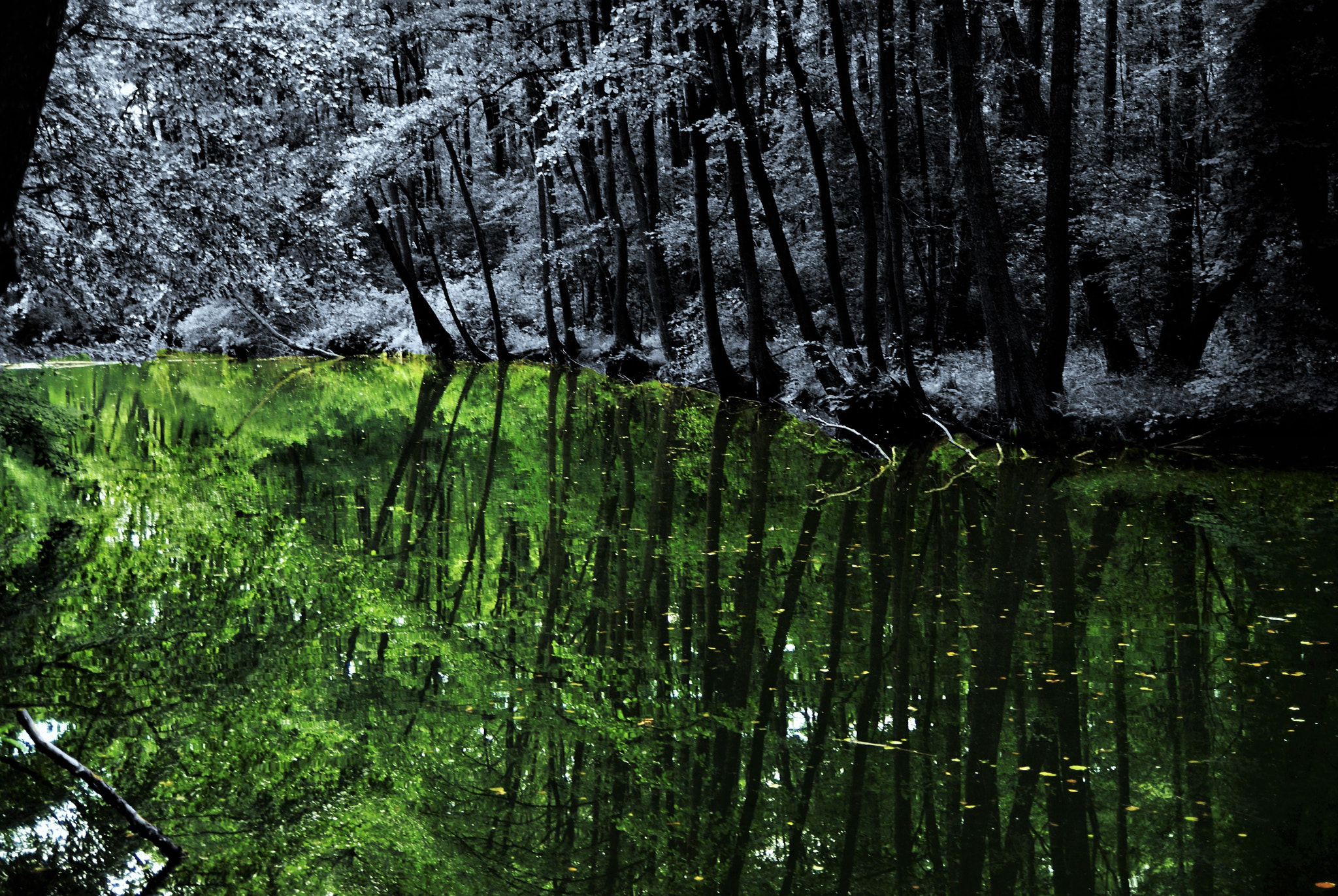 Sony Alpha DSLR-A300 sample photo. Water means life photography