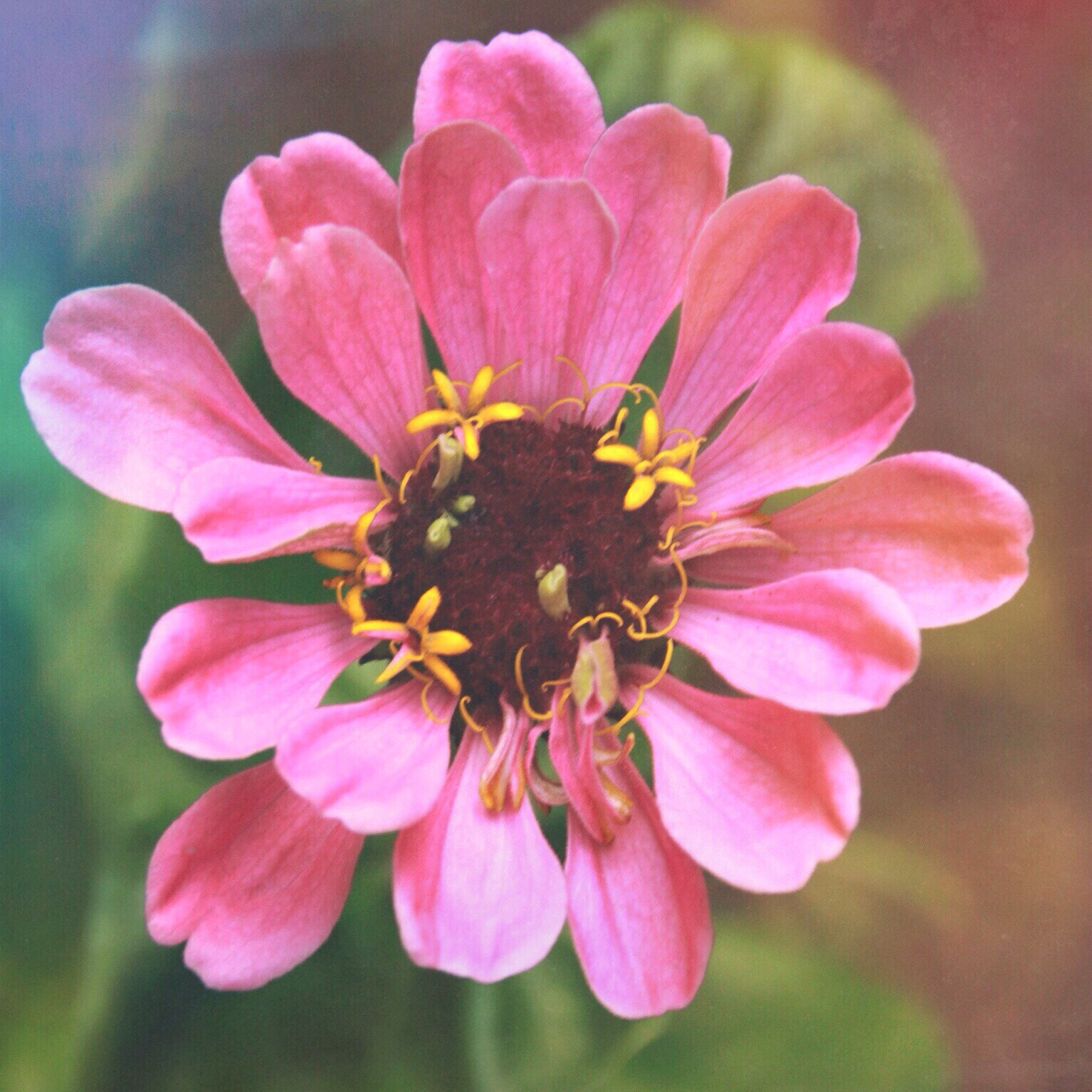 Canon EOS 50D sample photo