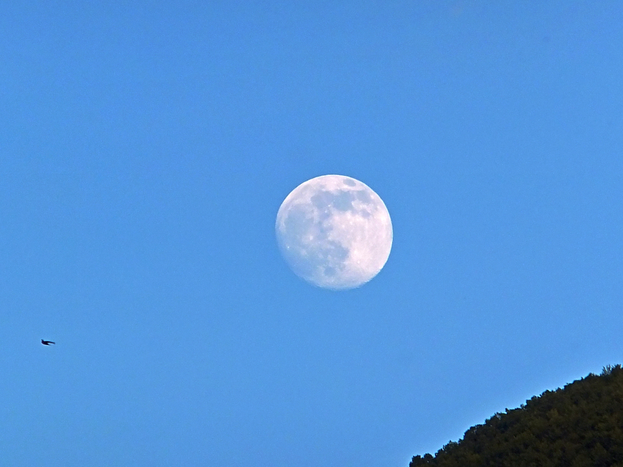 Fujifilm FinePix F660EXR sample photo. Moon sight photography