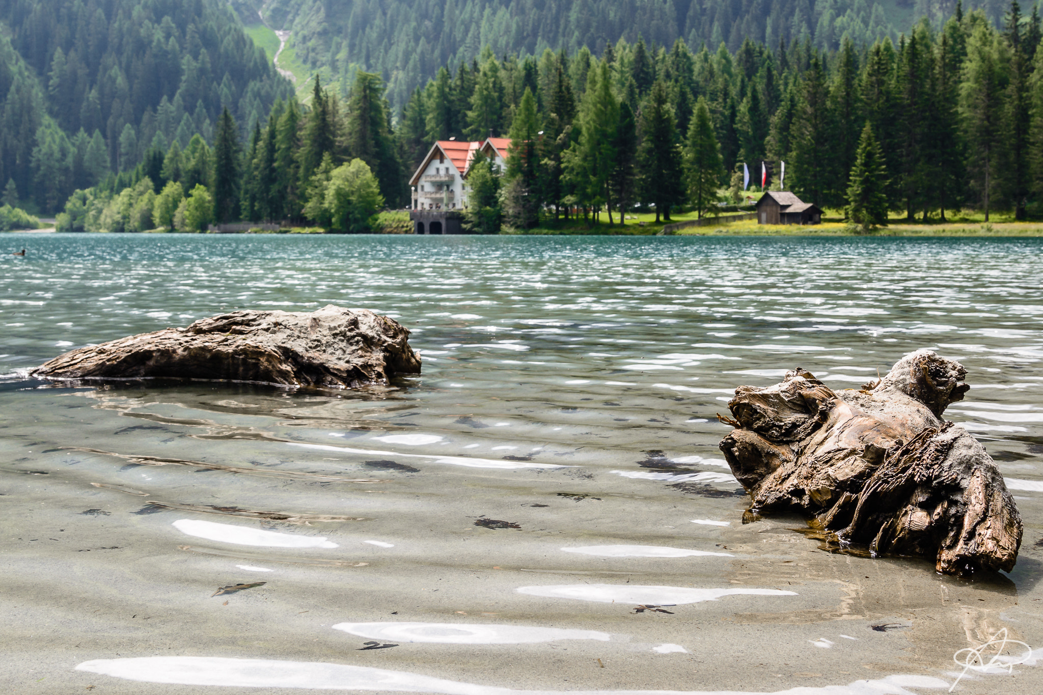 Nikon D5200 + Sigma 24-105mm F4 DG OS HSM Art sample photo