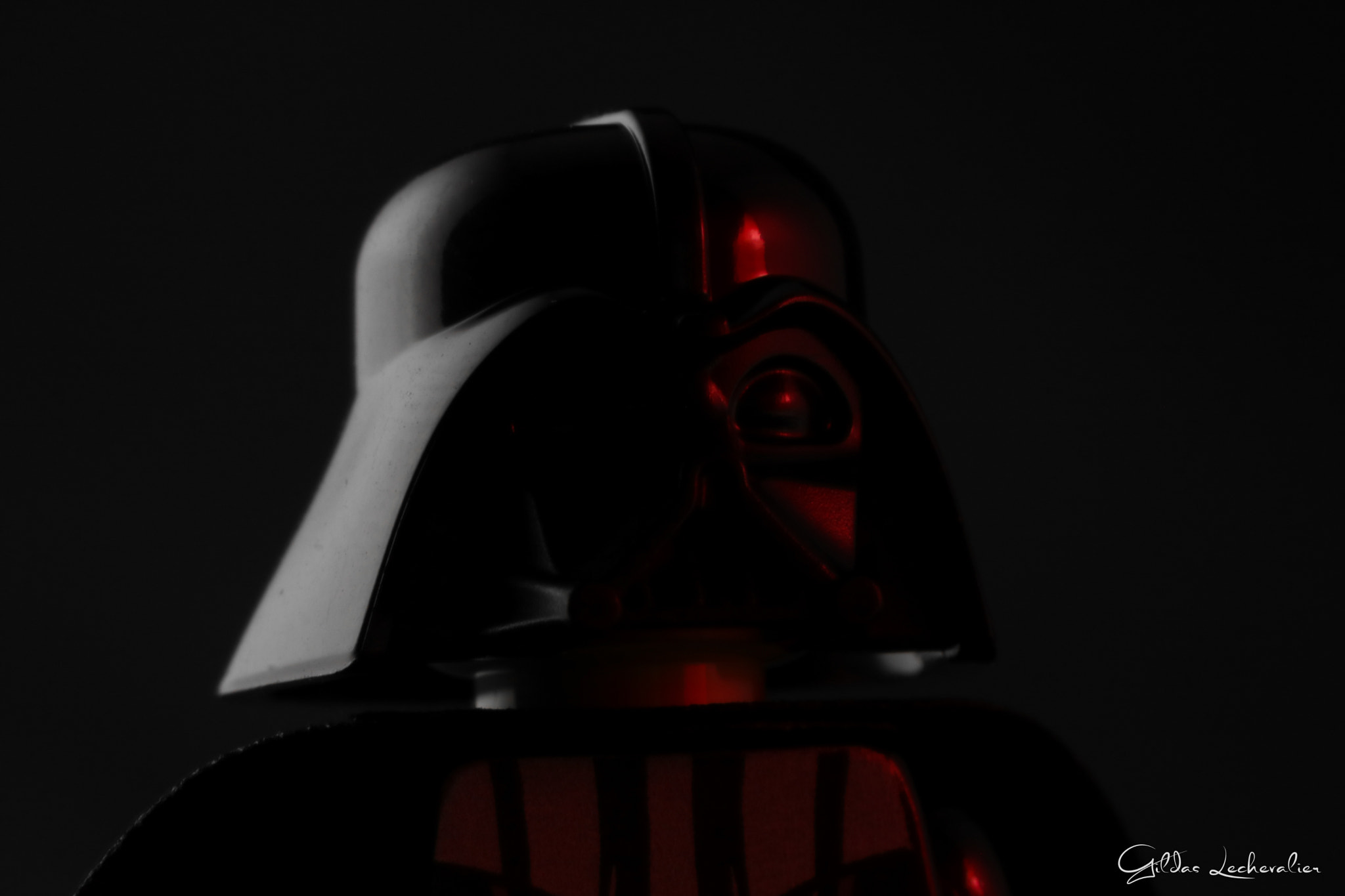 Canon EF 100mm F2.8 Macro USM sample photo. Join the dark side of the force photography