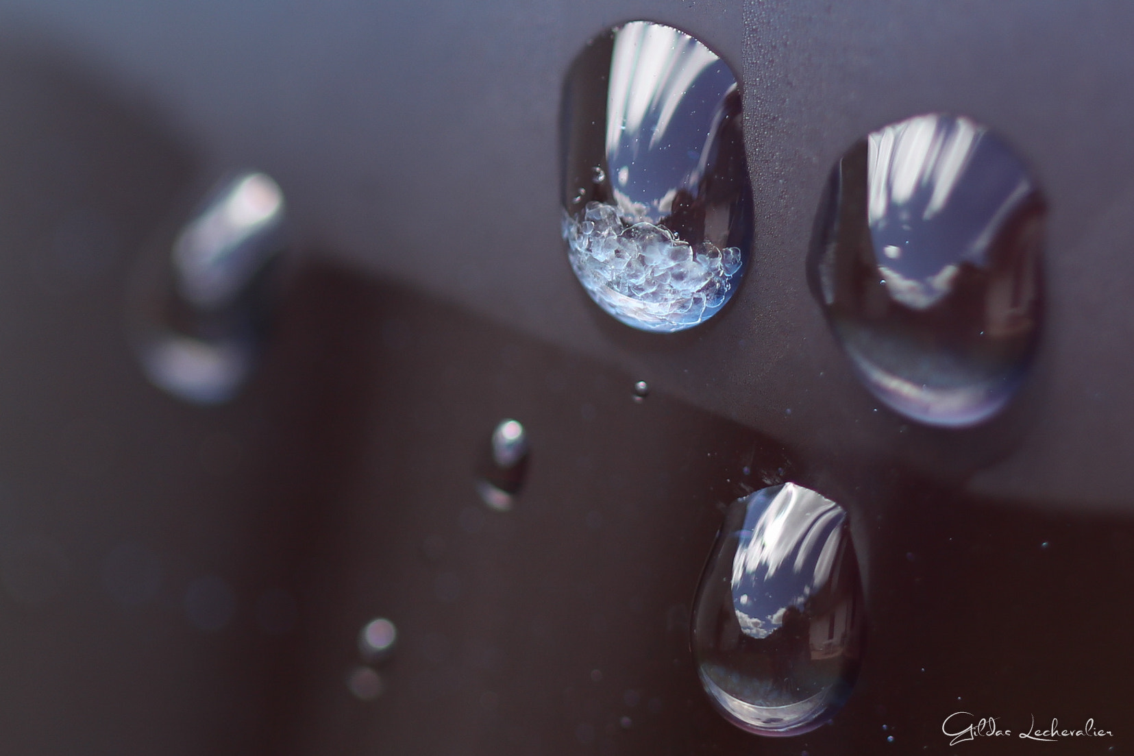 Canon EF 100mm F2.8 Macro USM sample photo. Summer is coming photography