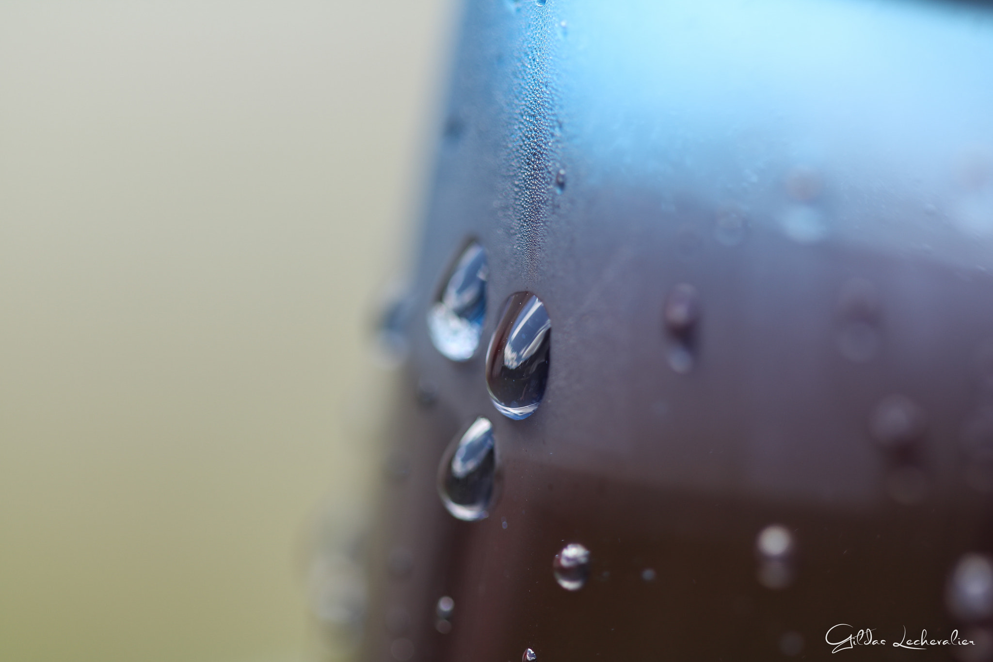 Canon EF 100mm F2.8 Macro USM sample photo. Summer is coming photography