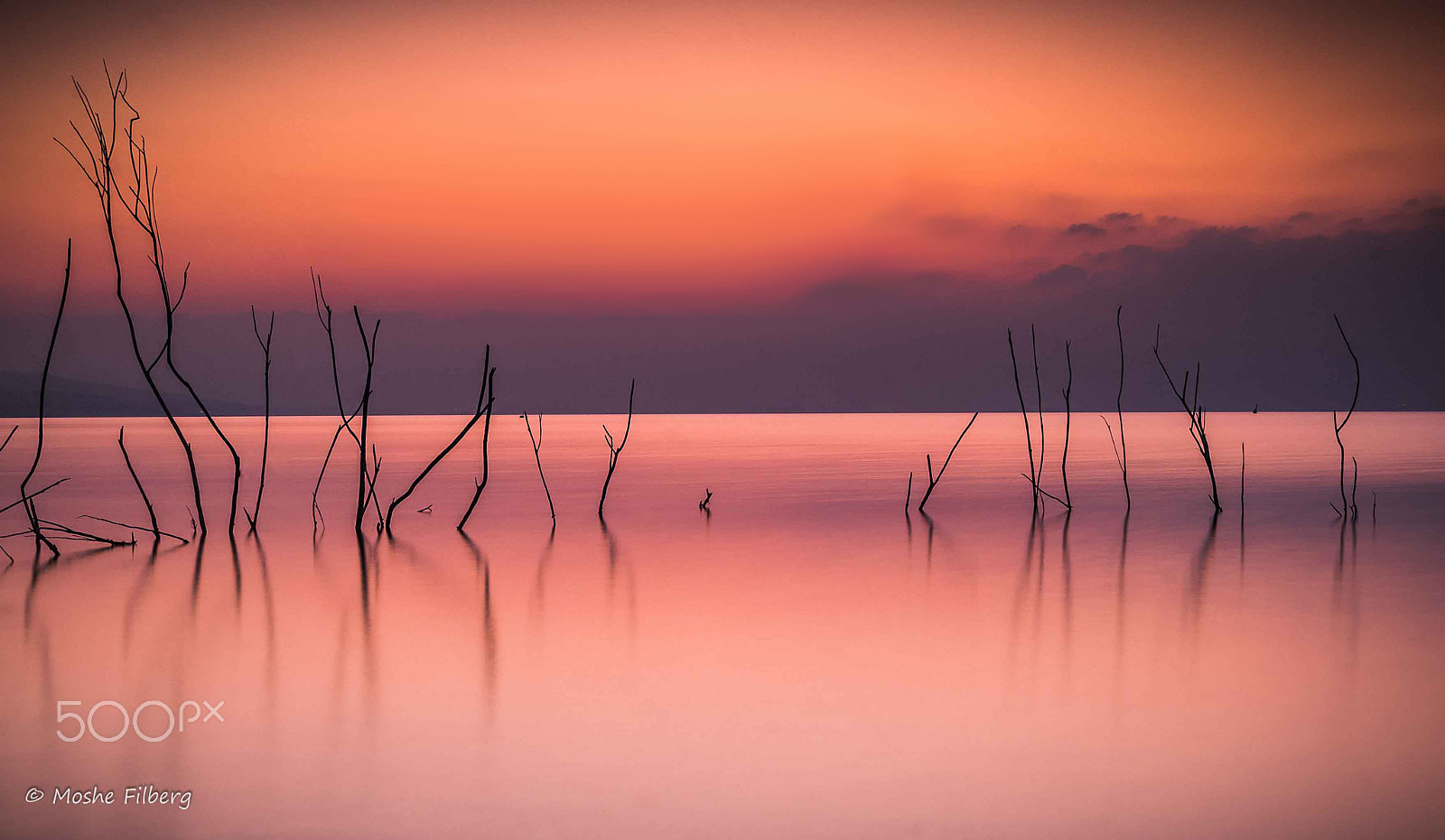 Nikon D810 + Sigma 17-35mm F2.8-4 EX Aspherical sample photo. Morning has broken photography