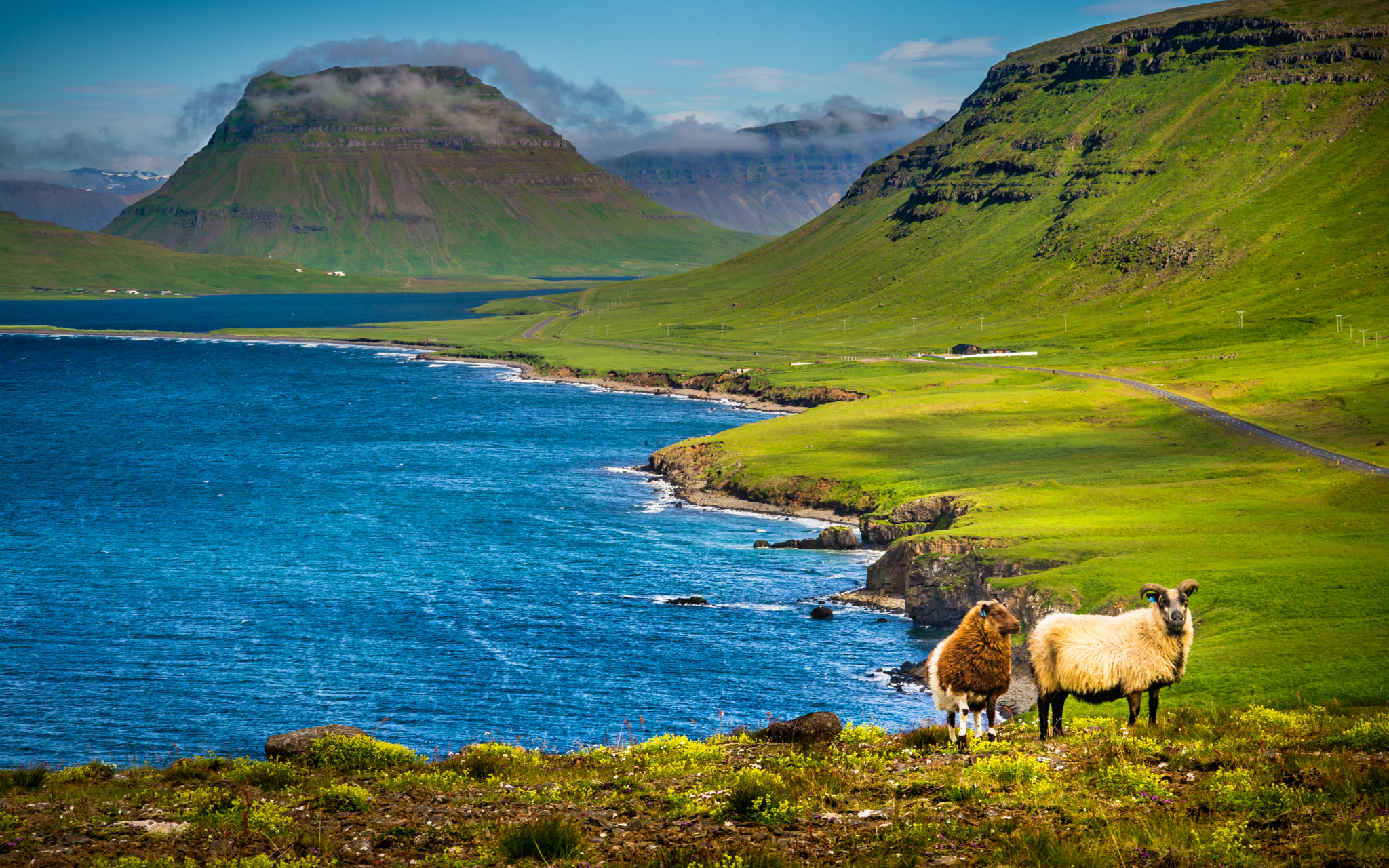 Leica APO-Summicron-M 90mm F2 ASPH sample photo. Iceland: peninsula snæfellsnes - the coastline, where more animals live, than people :-))) photography