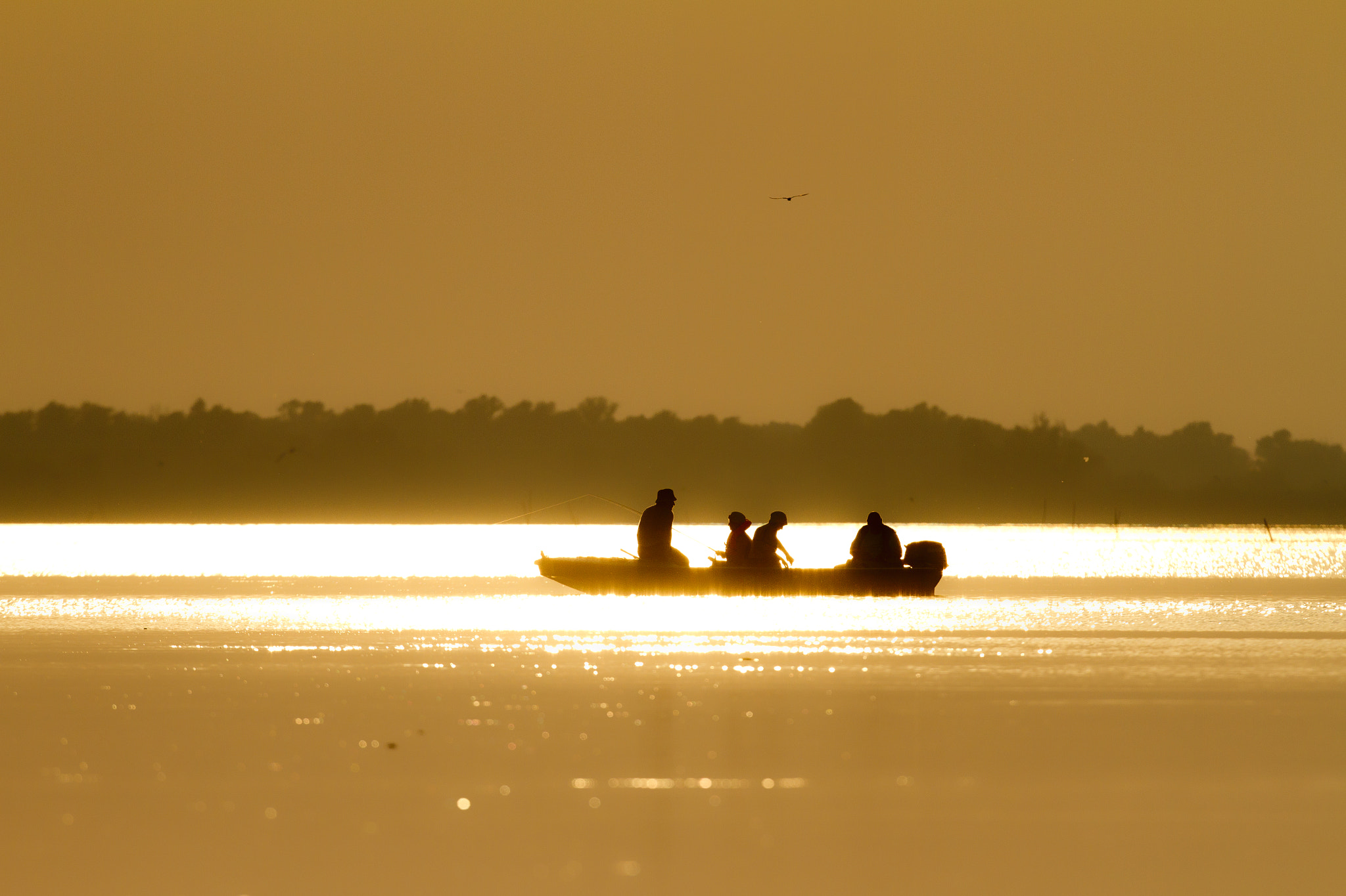 Canon EOS 7D + Canon EF 400mm F2.8L IS USM sample photo. Light fishing photography