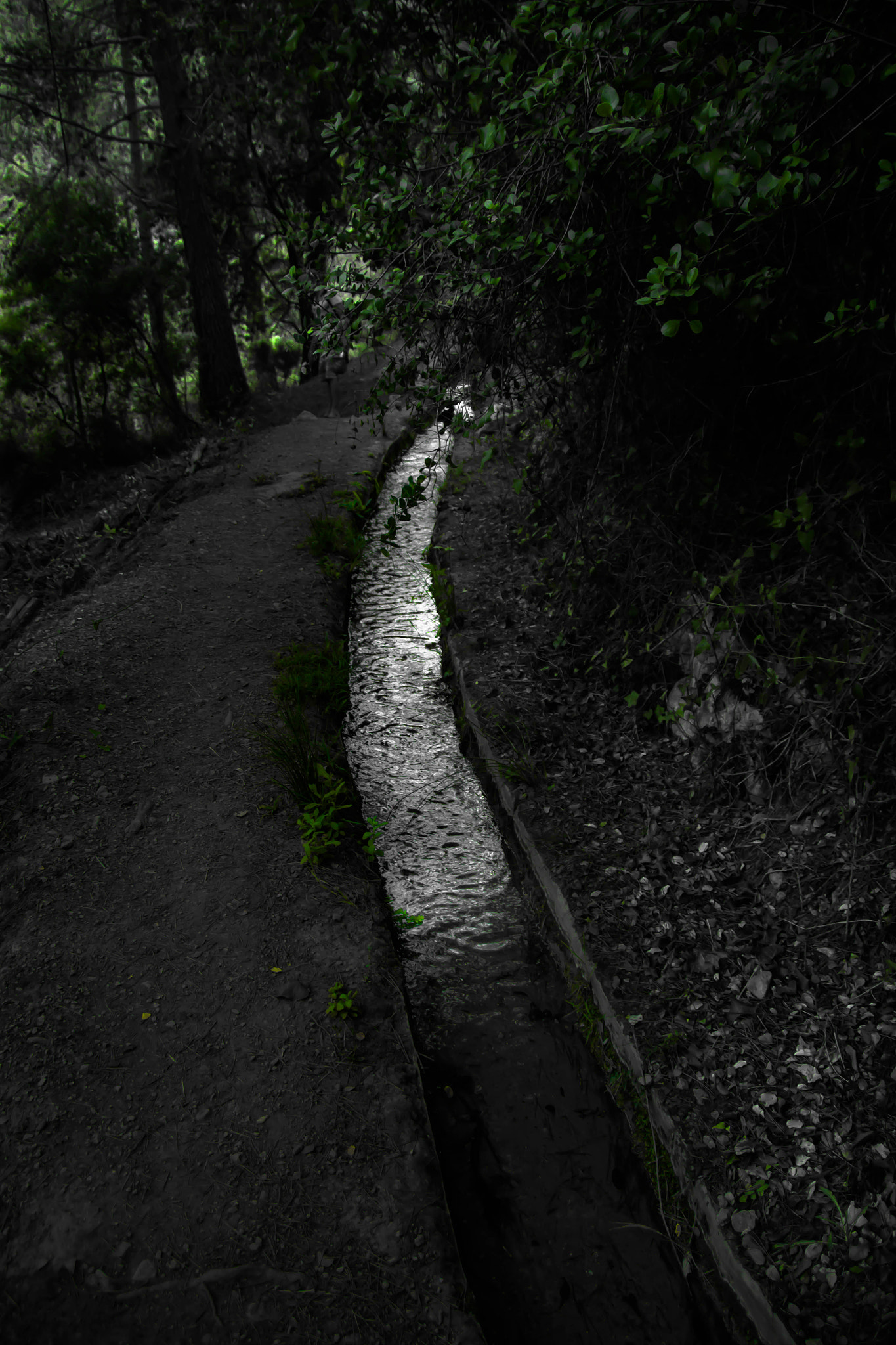 Sigma 18-250mm F3.5-6.3 DC OS HSM sample photo. Path of light photography