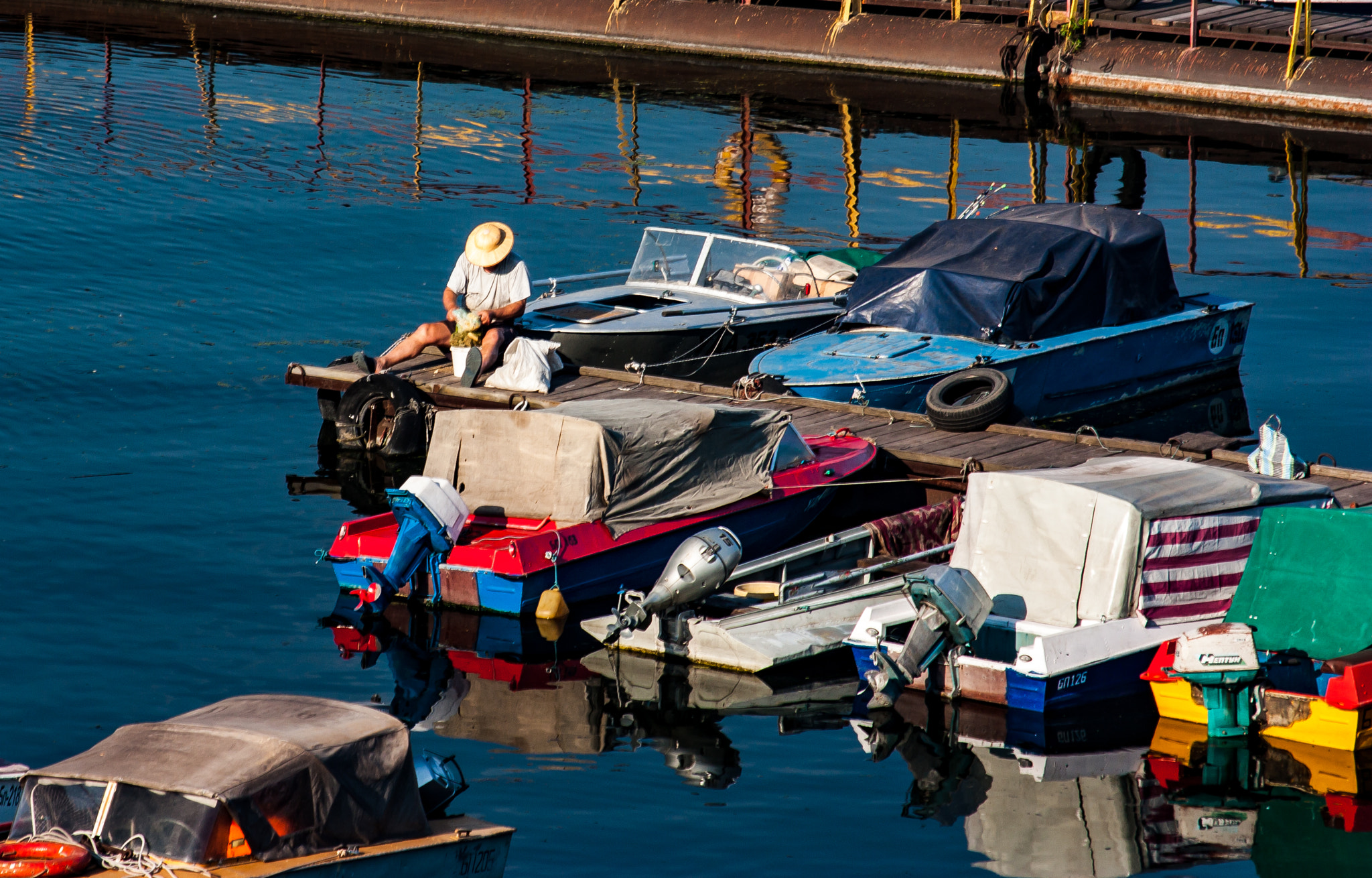 Sigma 50-200mm F4-5.6 DC OS HSM sample photo. Boardman photography