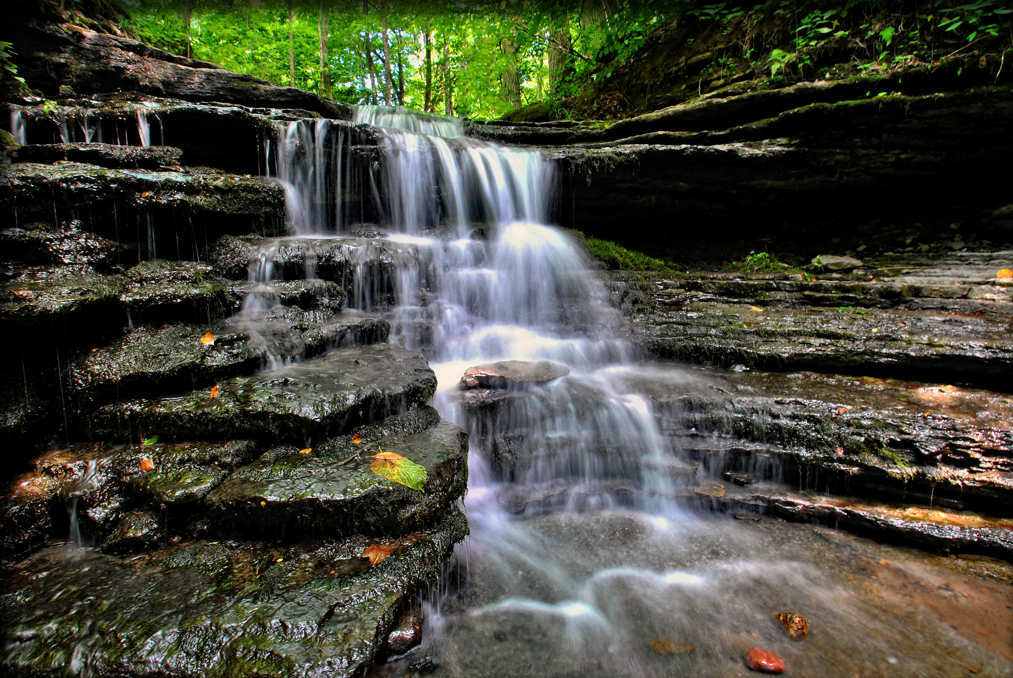 Nikon D3000 sample photo. Step falls photography