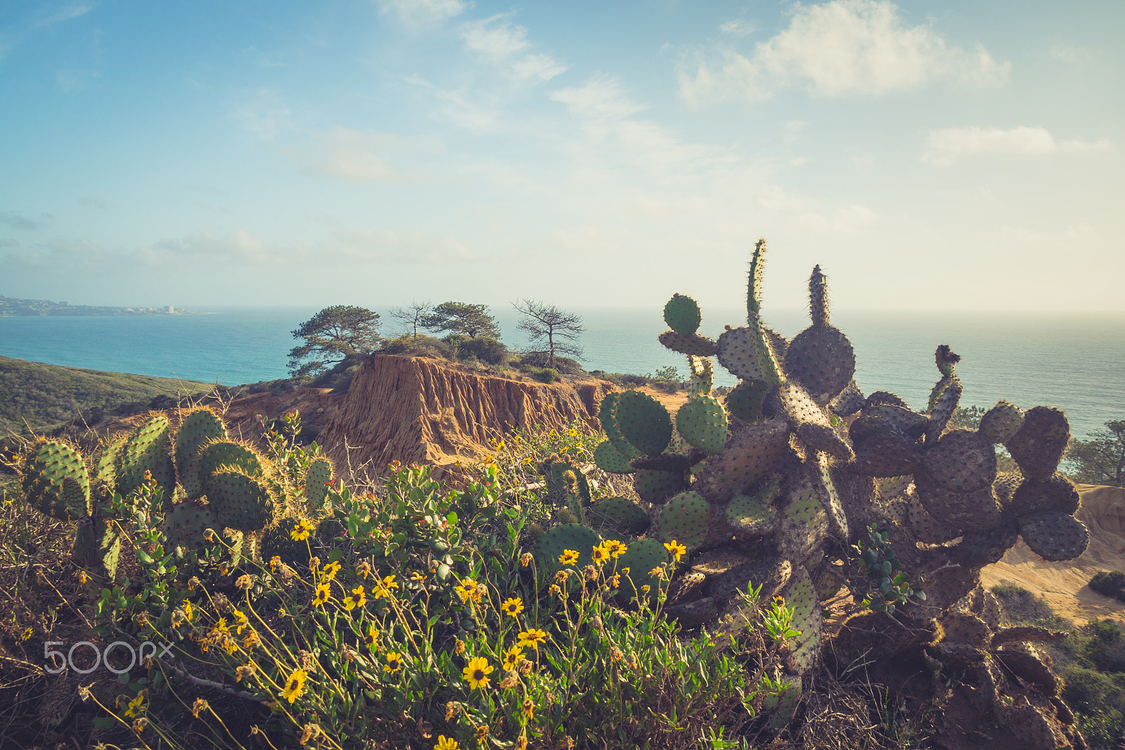 Olympus OM-D E-M10 + Olympus M.Zuiko Digital ED 14-150mm F4-5.6 II sample photo. Broken hill, torrey pines photography