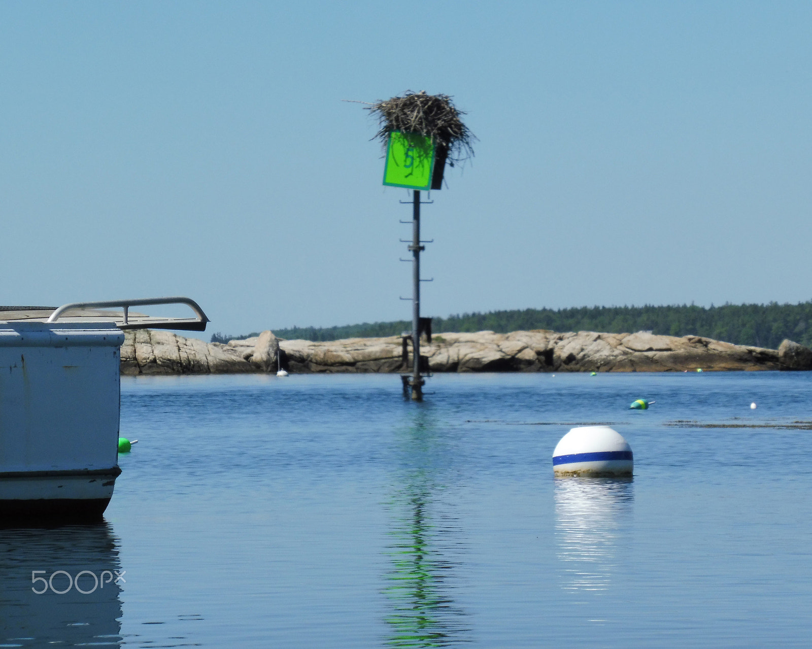Panasonic DMC-ZS45 sample photo. Osprey nest photography