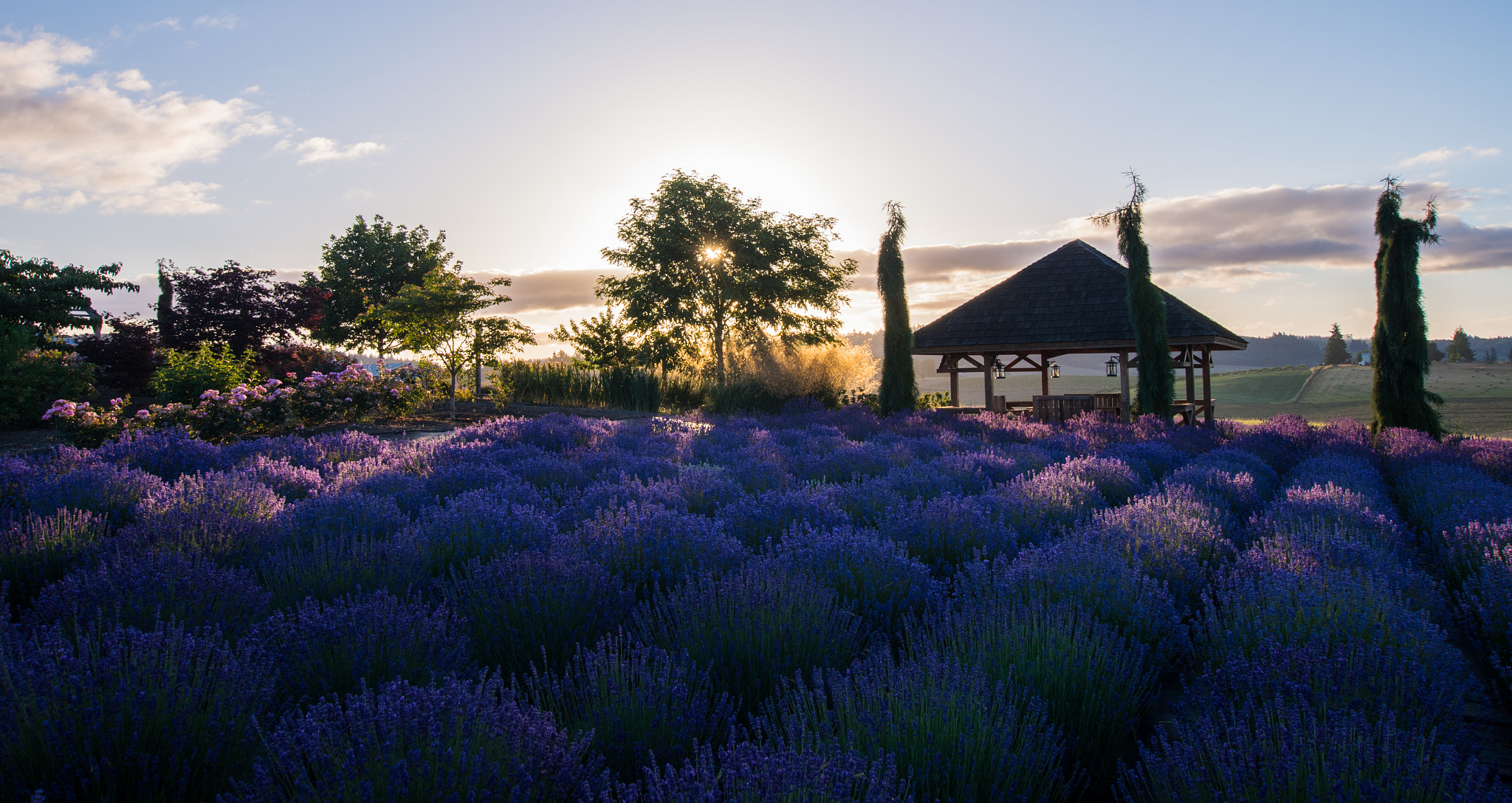 Sigma 10-20mm F3.5 EX DC HSM sample photo. Ffo photography