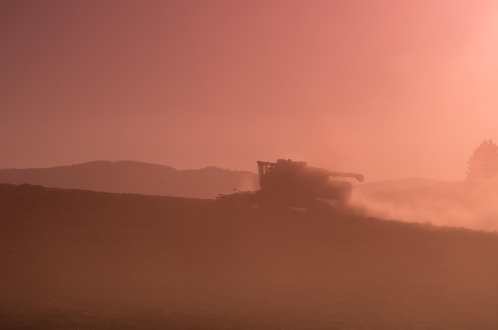 Pentax K-5 II + smc Pentax-DA L 50-200mm F4-5.6 ED WR sample photo. Harvest photography