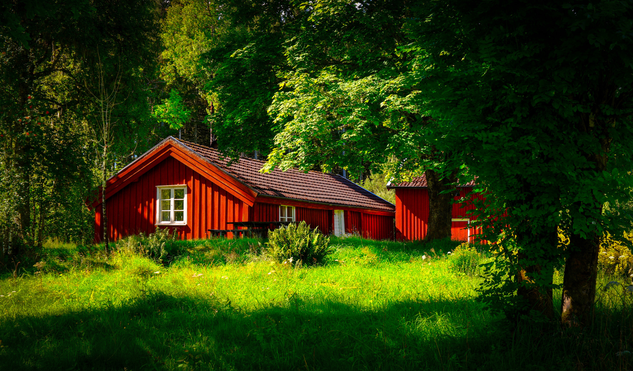 Saumsun NX 16-50mm F2-2.8 S ED OIS sample photo. Old swedish cabin photography