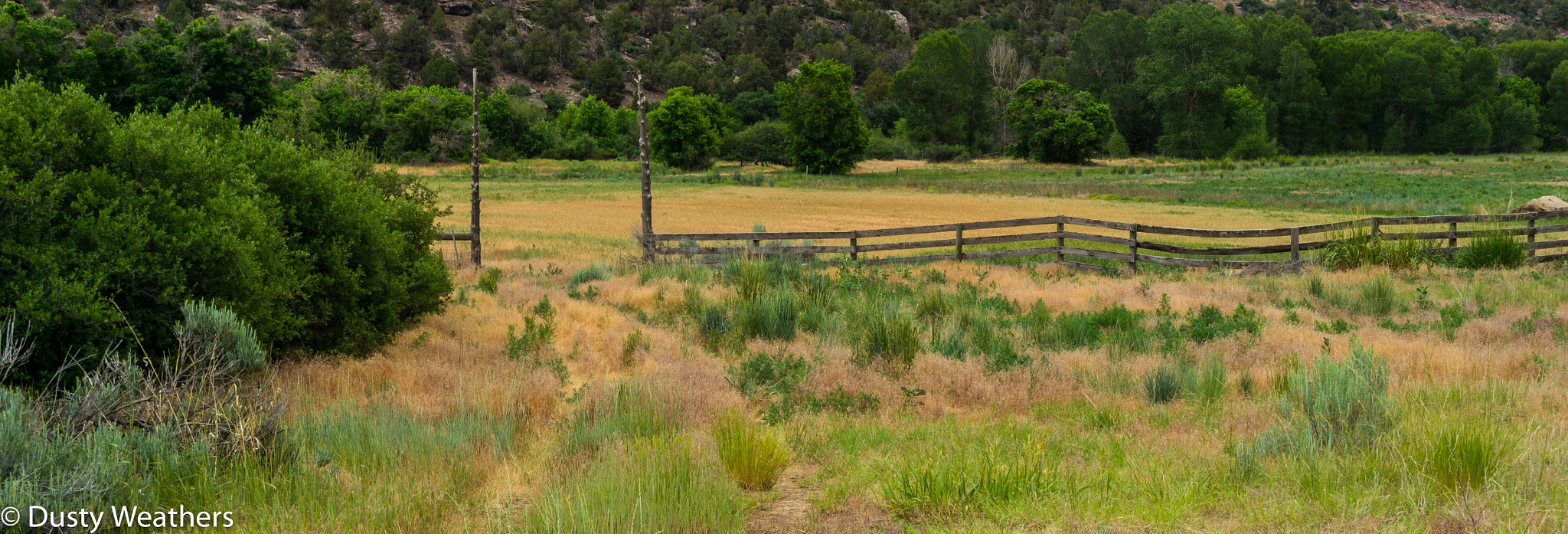 Nikon Df sample photo. Dolores river valley (of ) photography