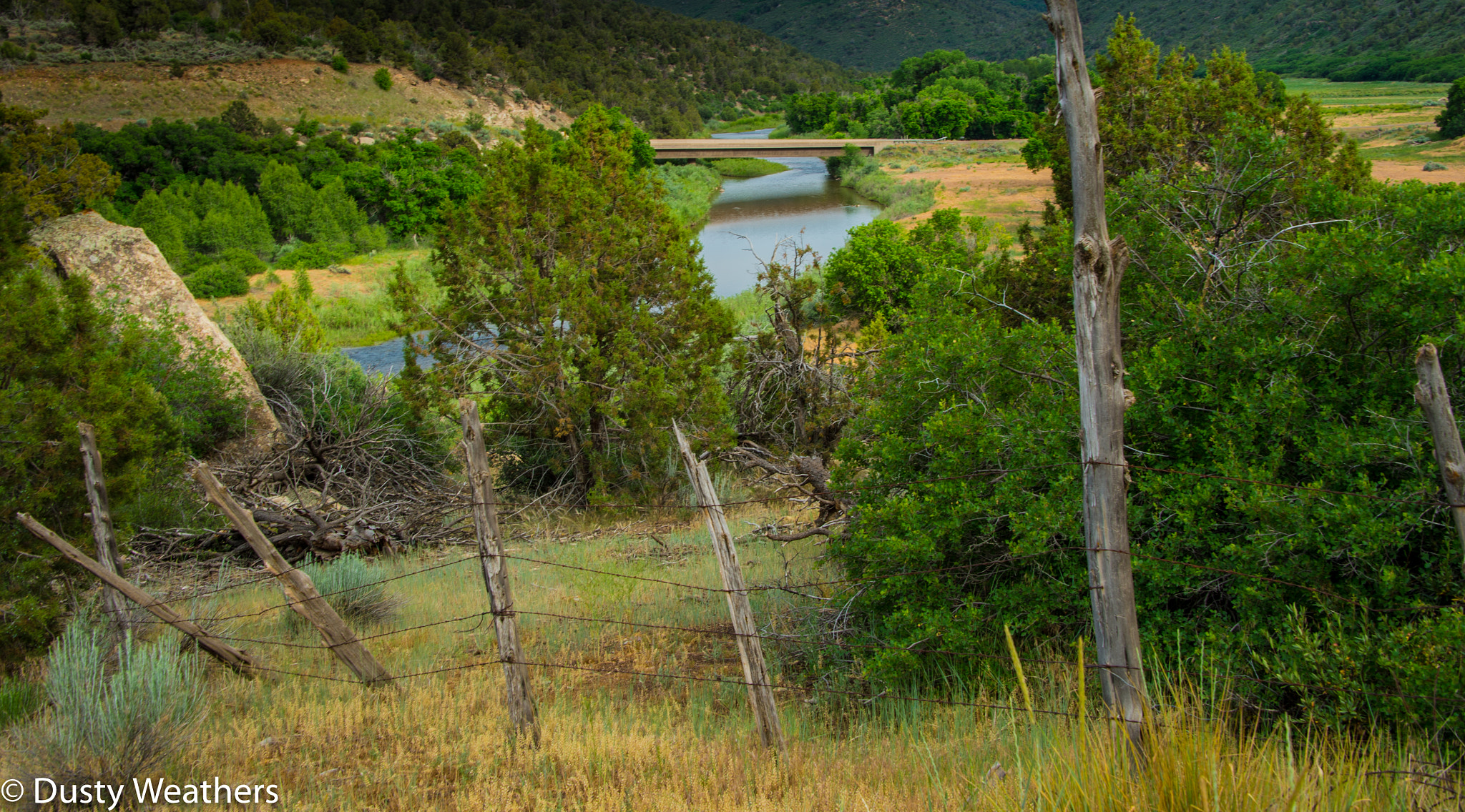 Nikon Df sample photo. Bridge over the dolores river (of ) photography