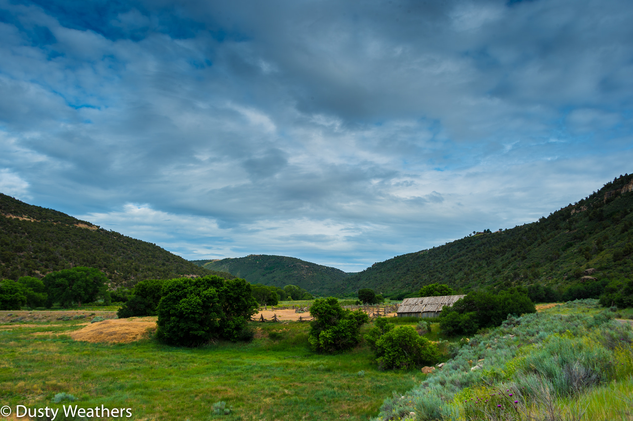 Nikon Df sample photo. Dolores river valley (of ) photography