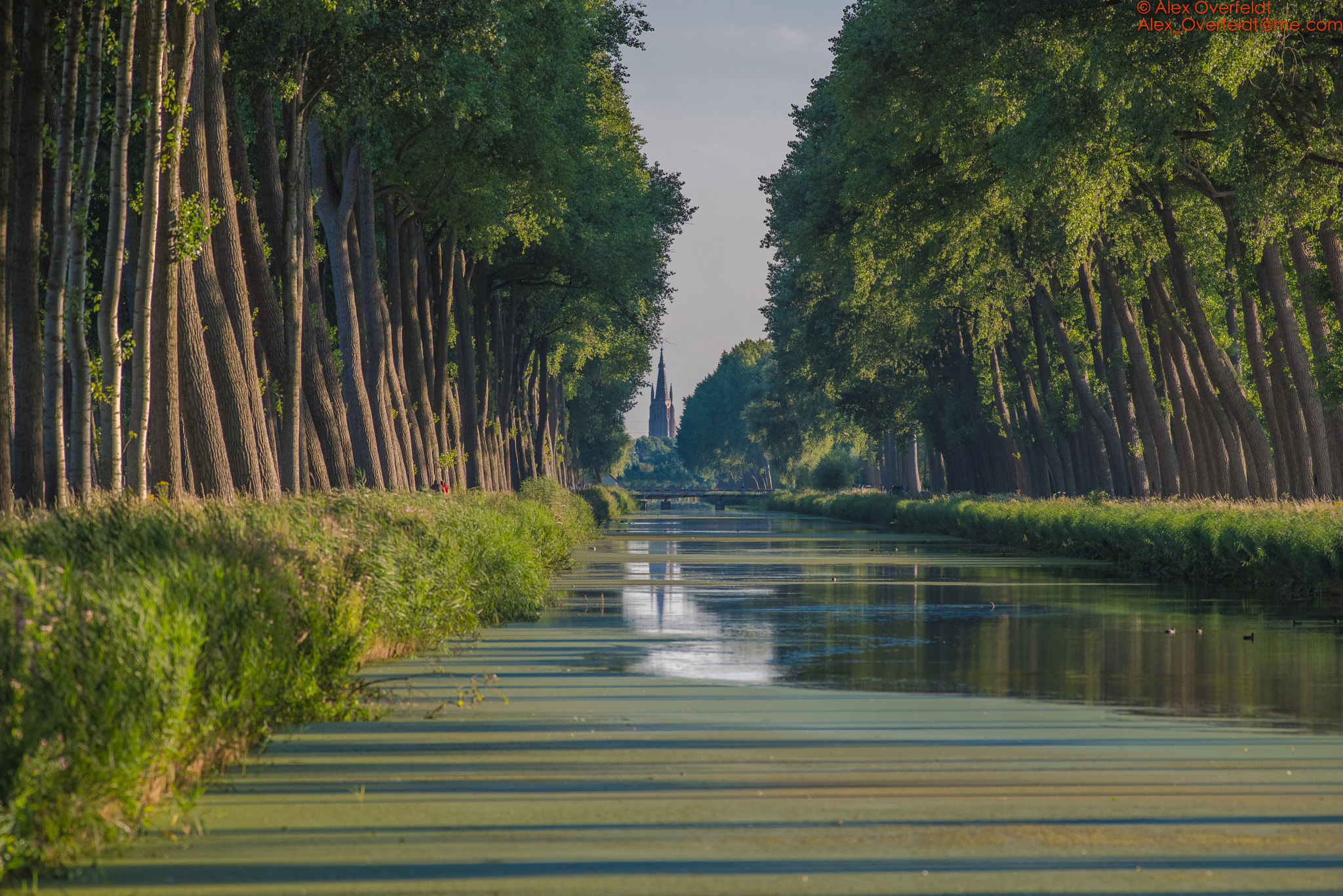 Pentax smc DA* 300mm F4.0 ED (IF) SDM sample photo. Damse vaart july evening 31/7 before sunset start  ... photography